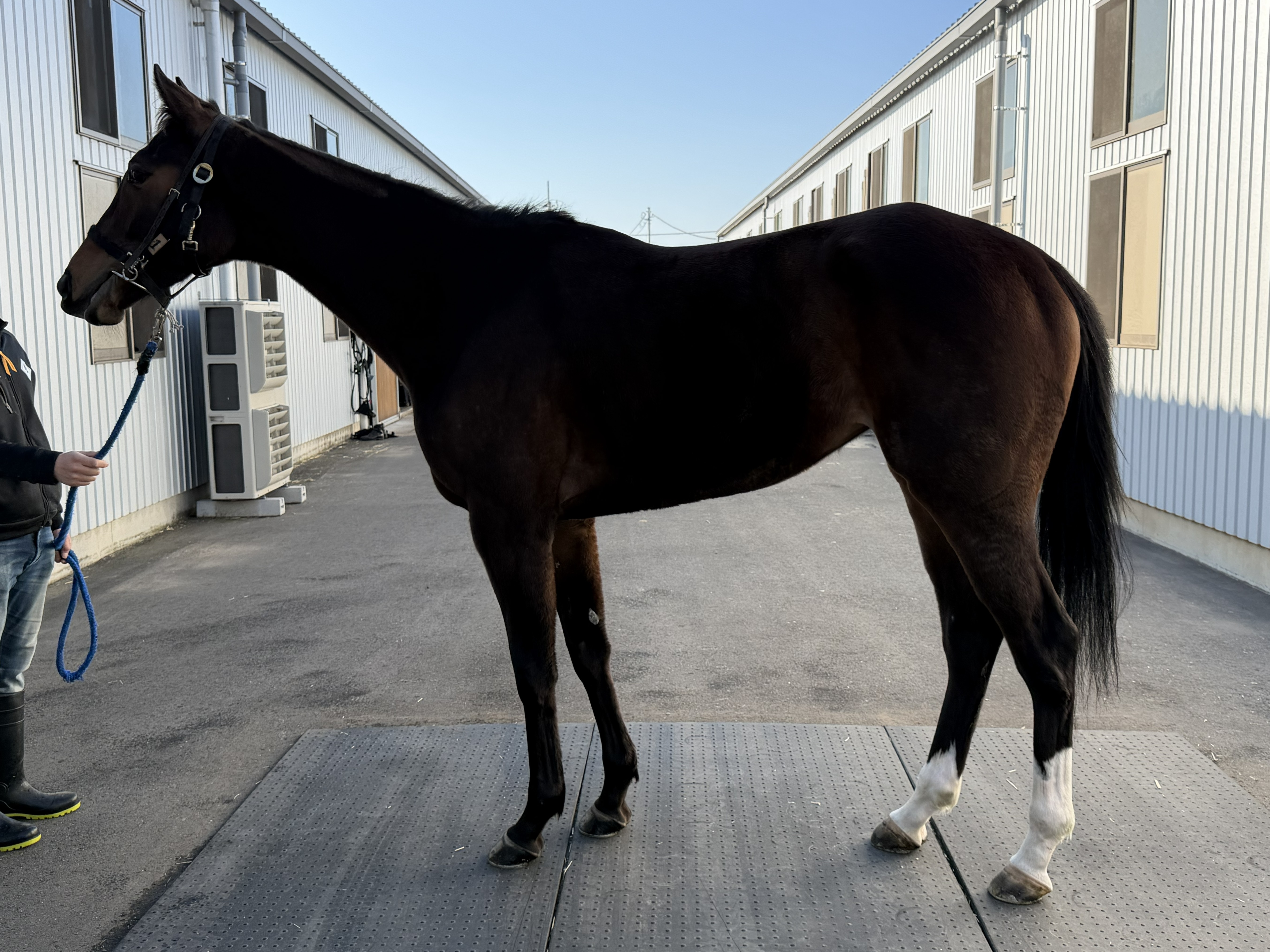 画像サムネイル