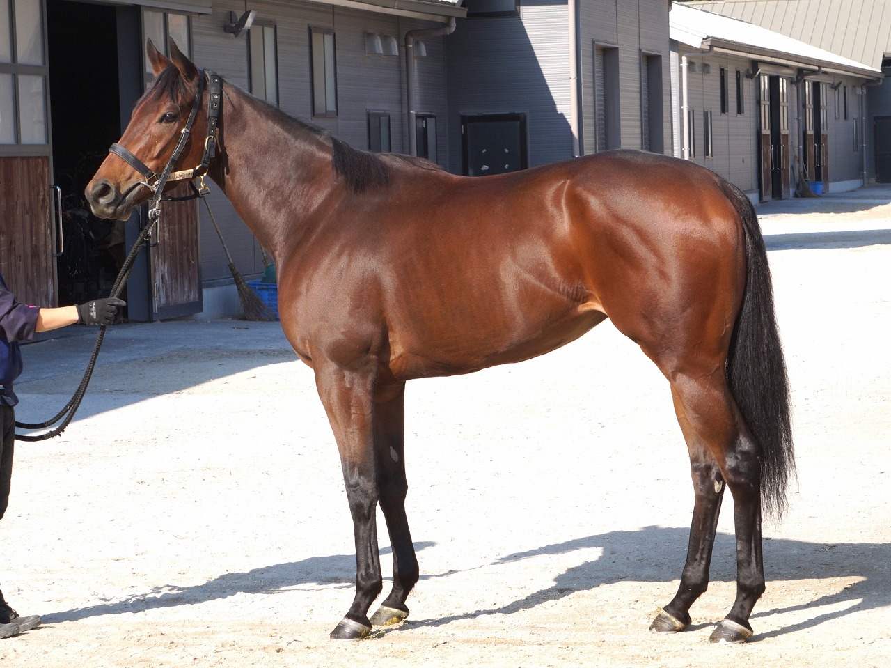 画像サムネイル