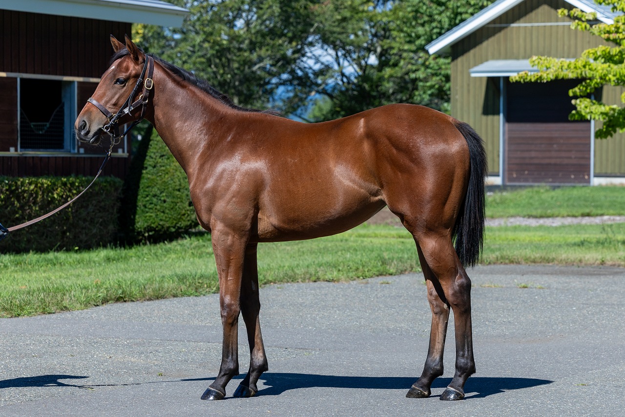 画像サムネイル