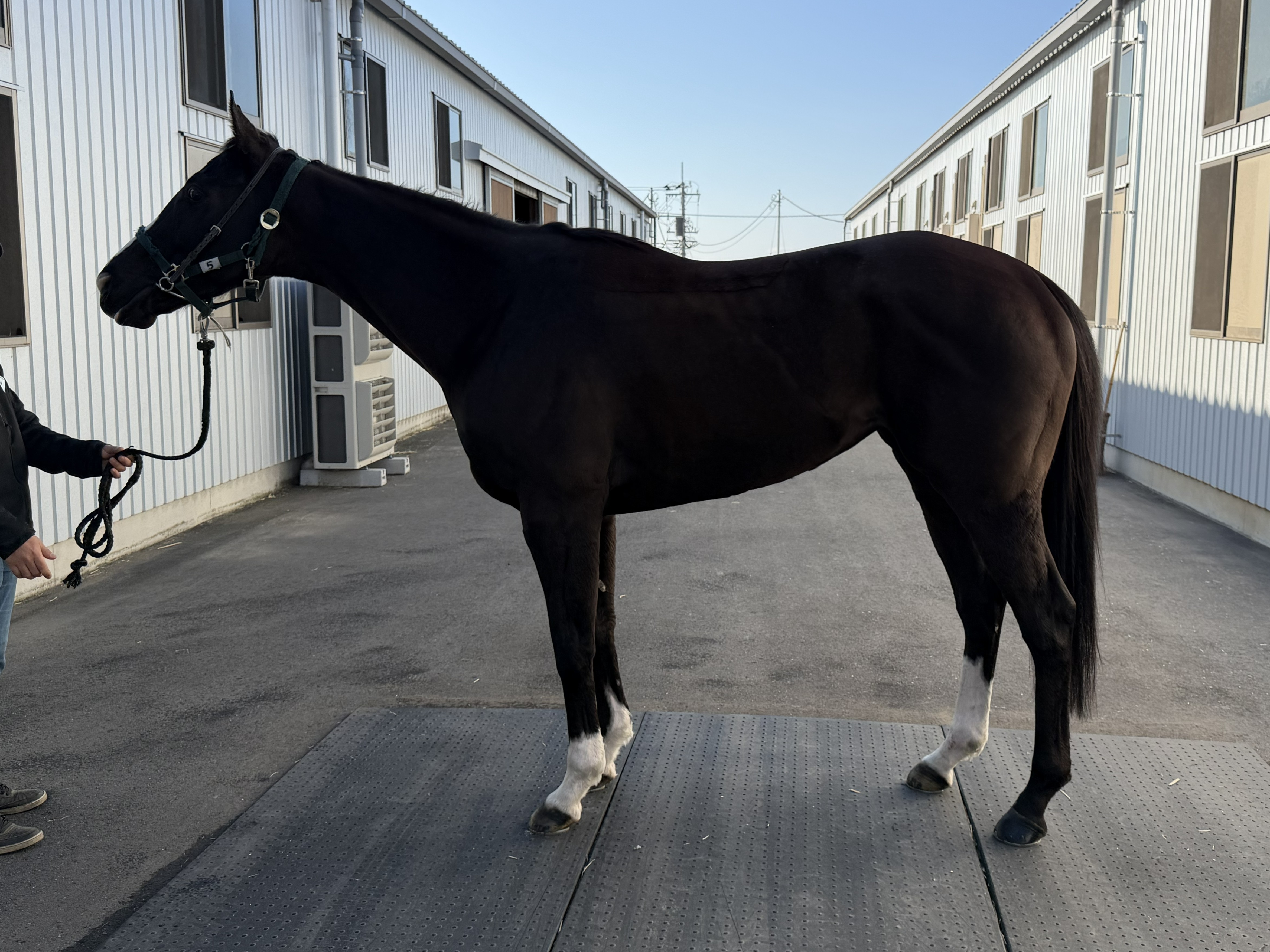 画像サムネイル