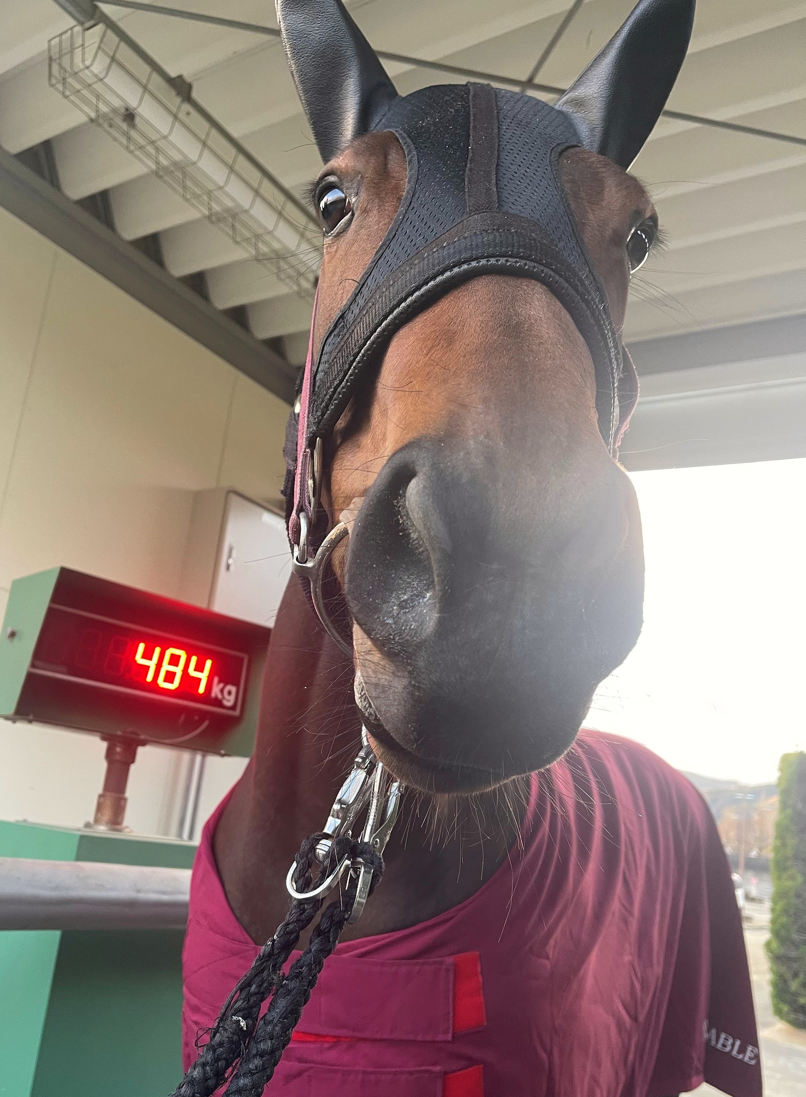 画像サムネイル