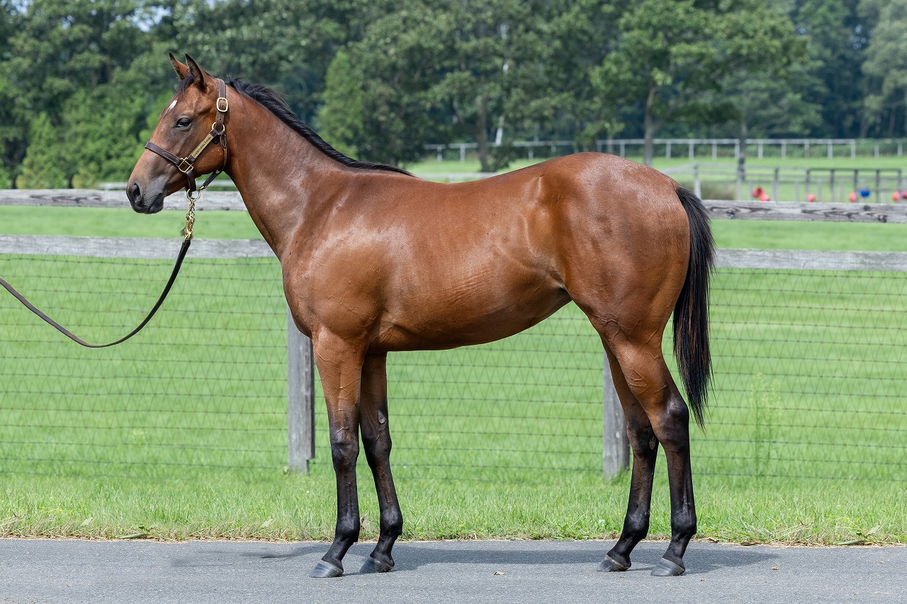 画像サムネイル