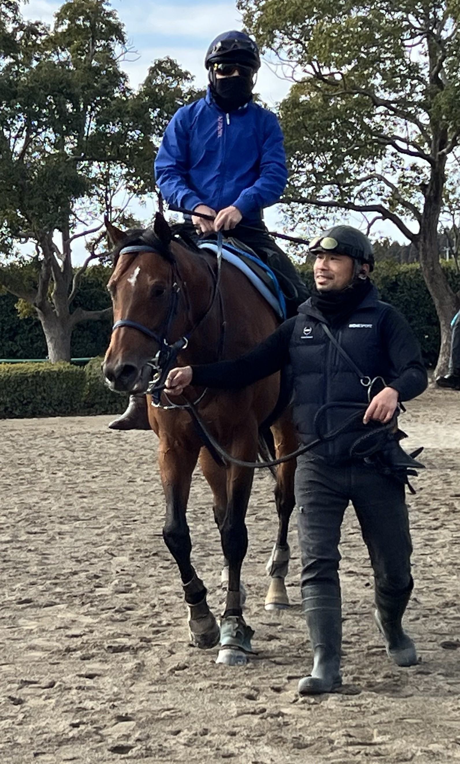 画像サムネイル