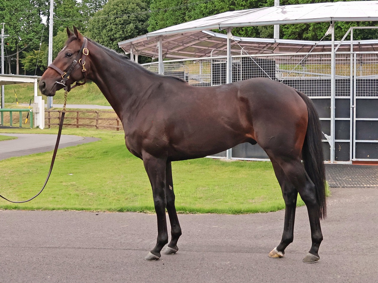 画像サムネイル