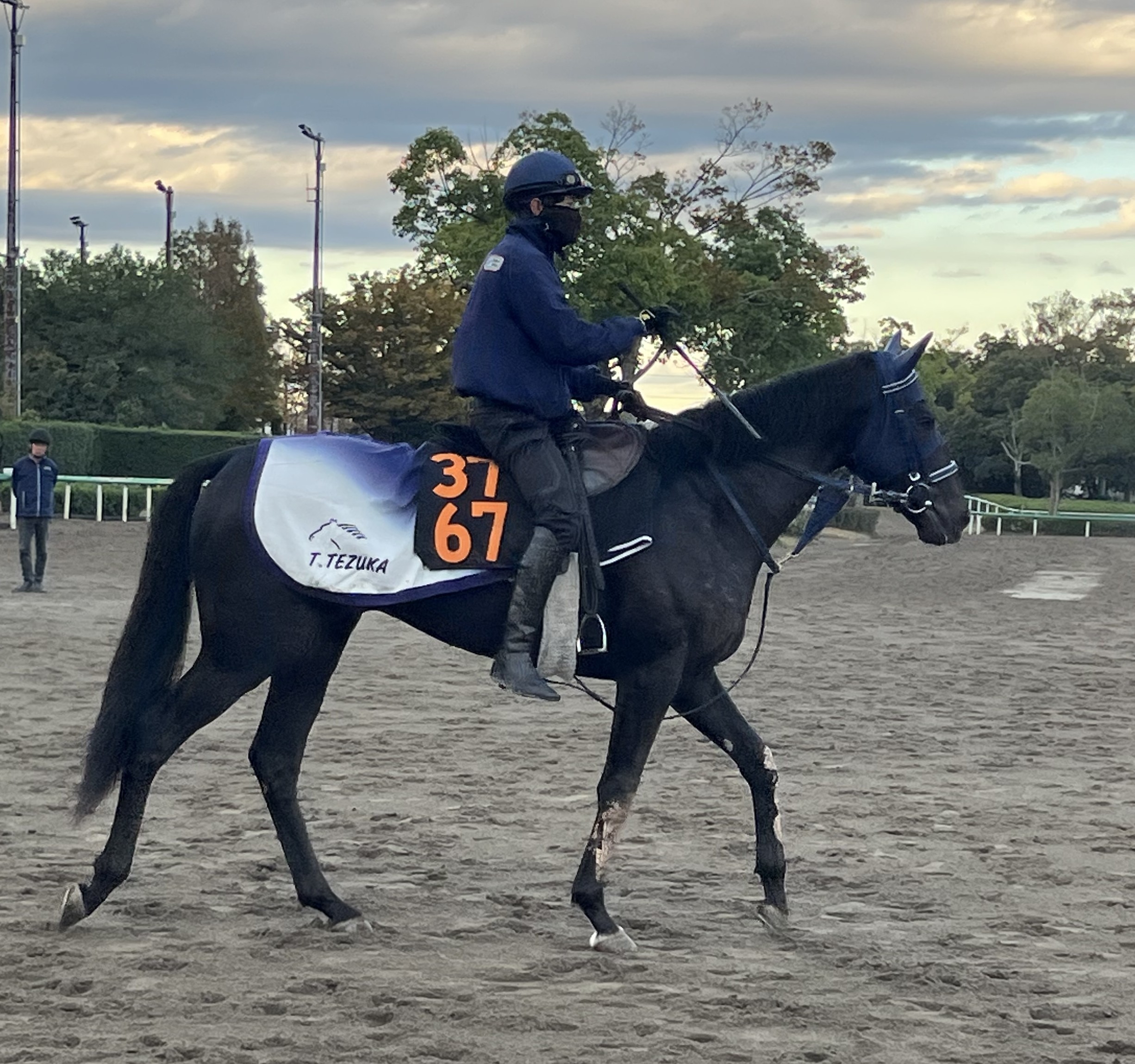 画像サムネイル