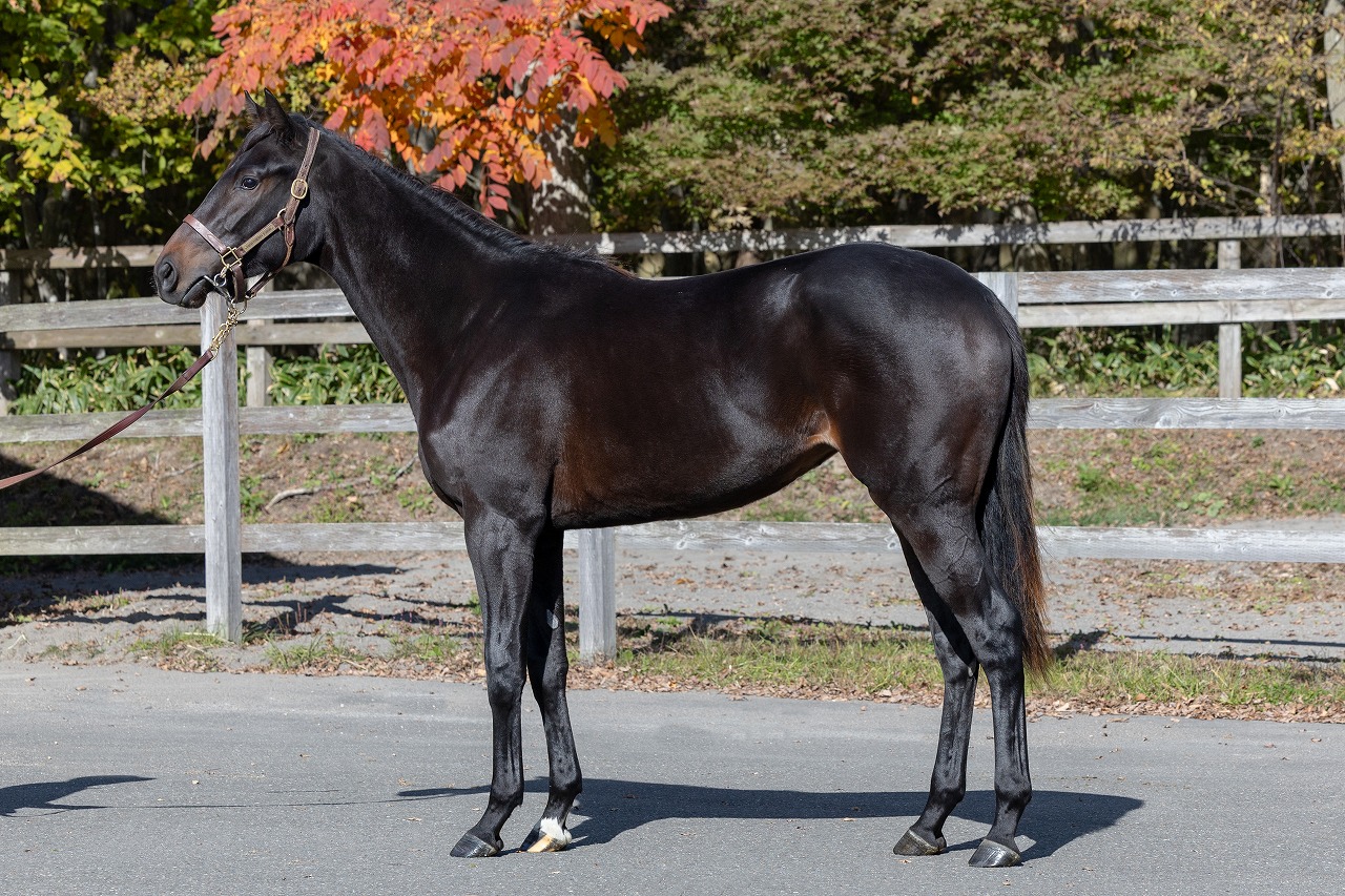 画像サムネイル