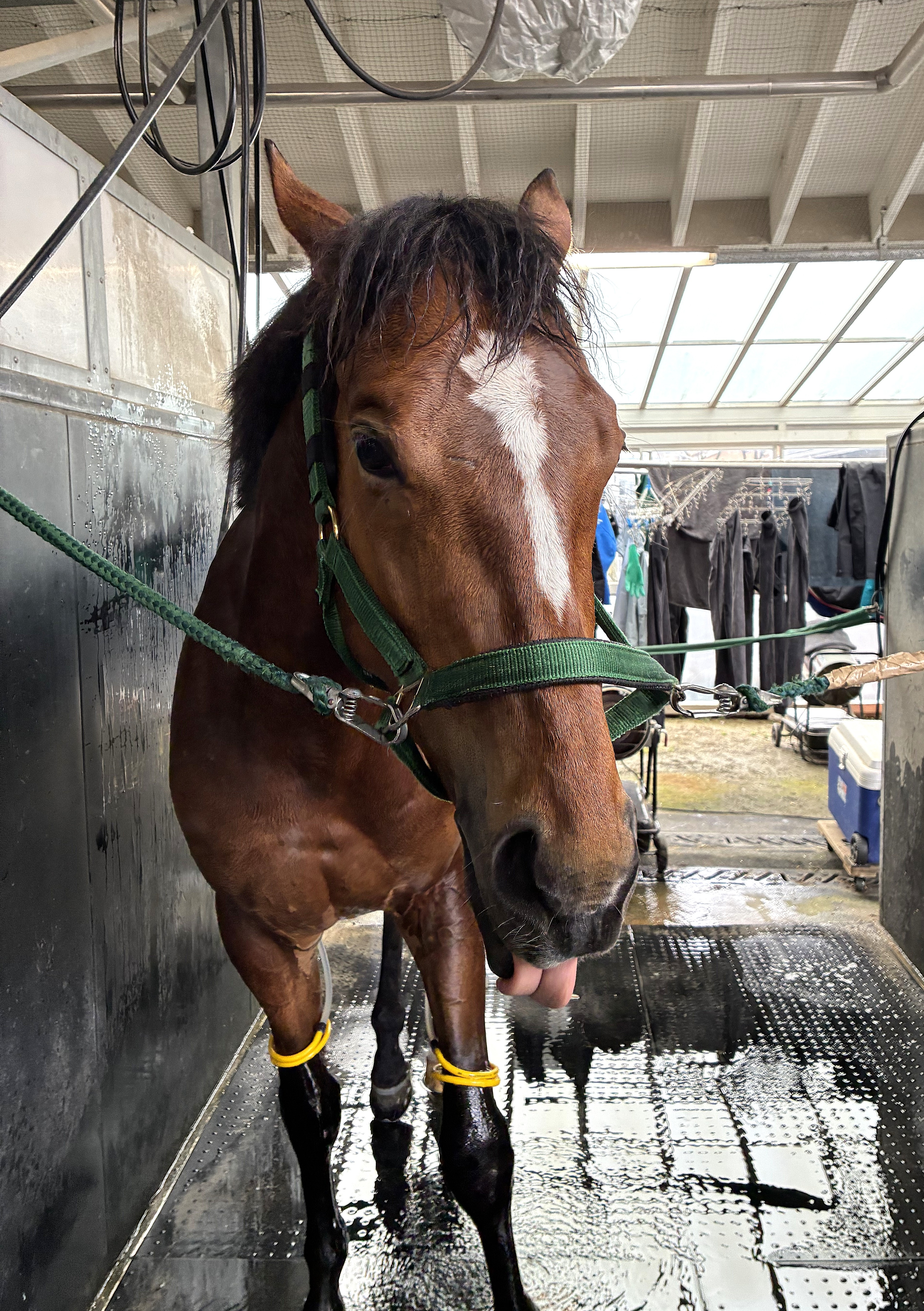 画像サムネイル