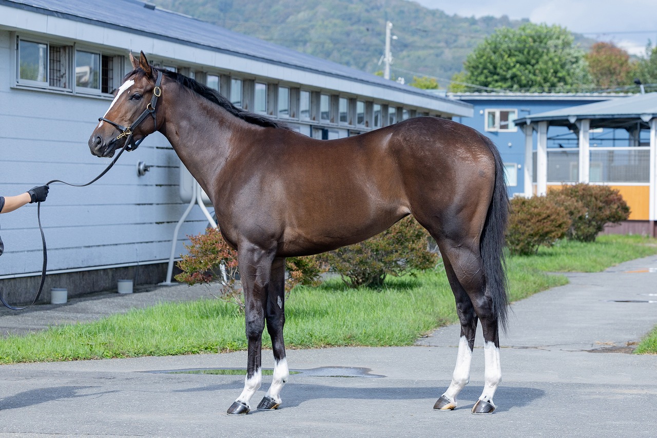 画像サムネイル