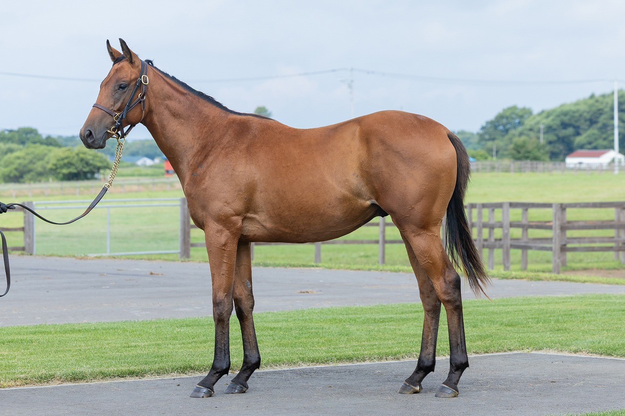 画像サムネイル