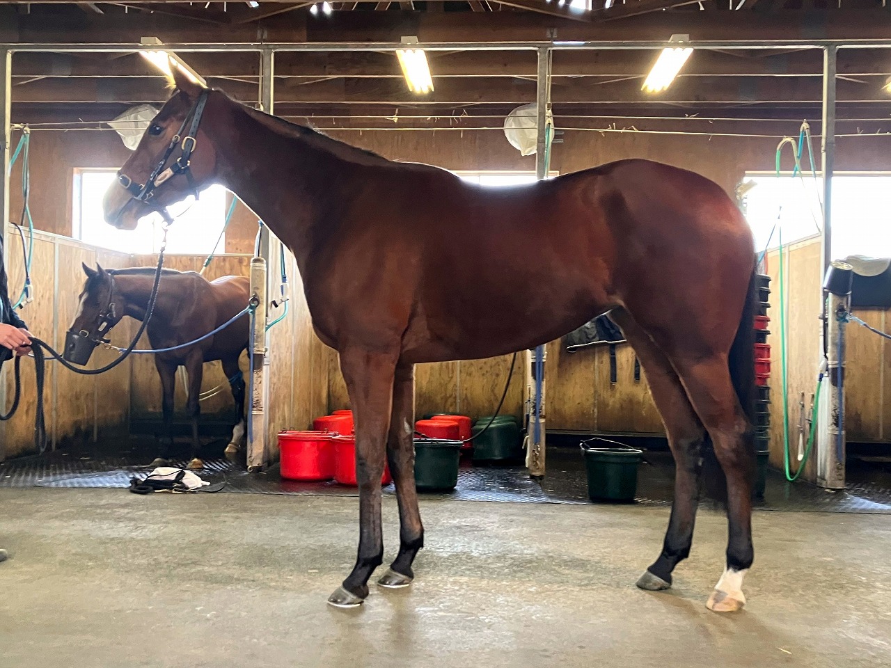 画像サムネイル