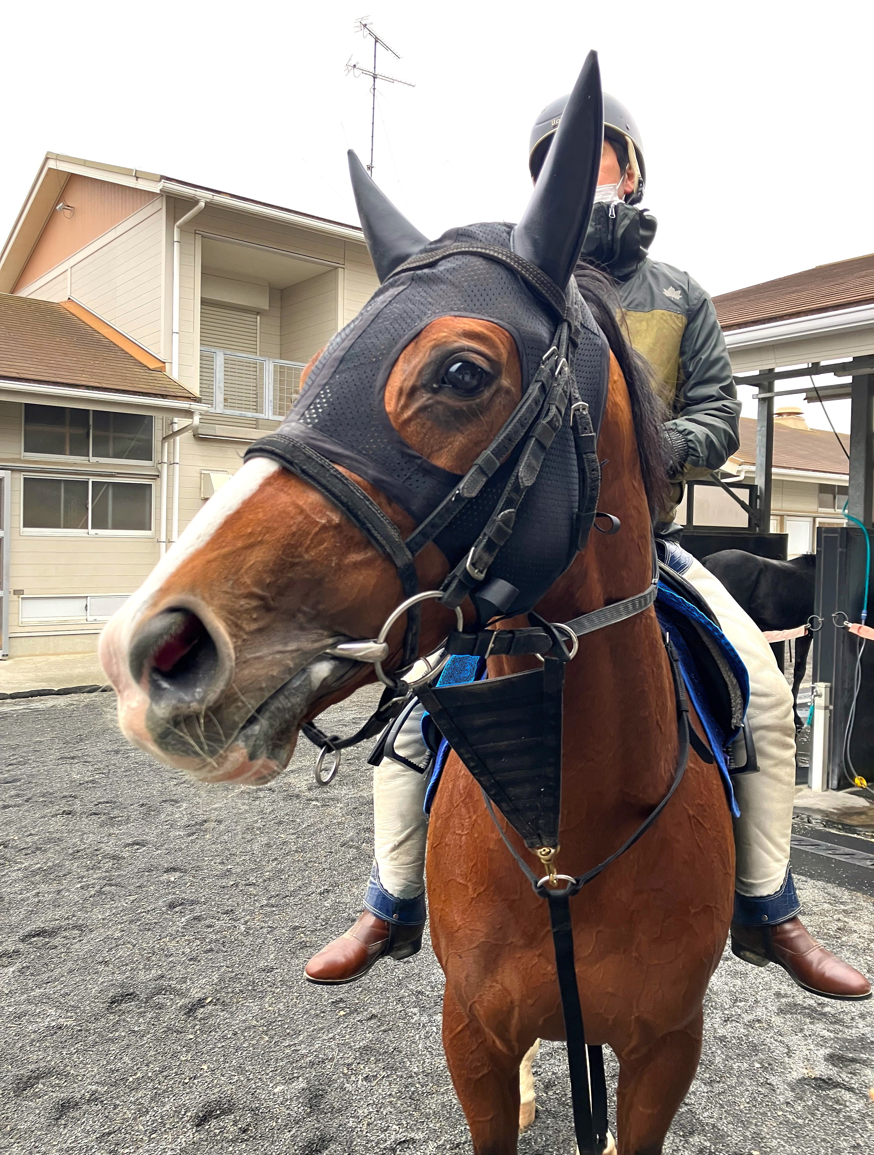 画像サムネイル