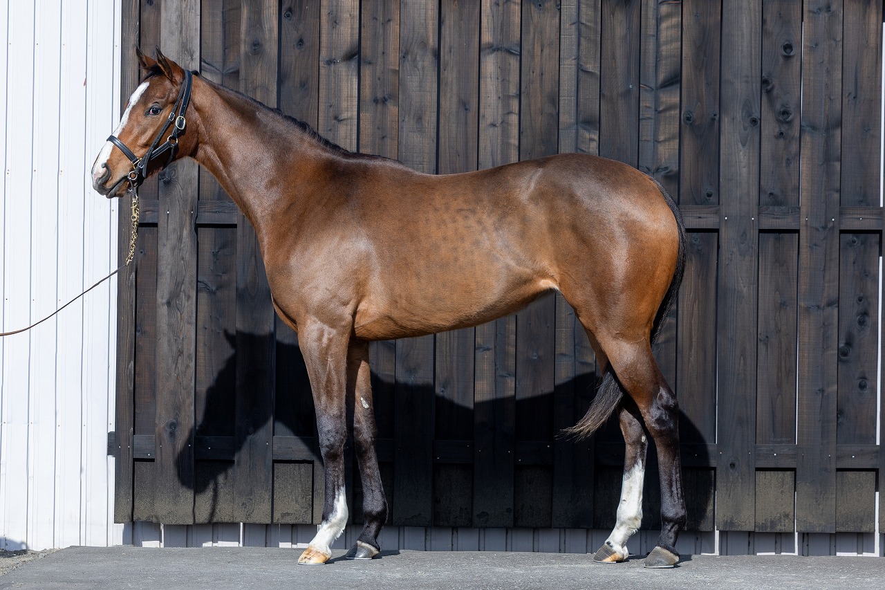 画像サムネイル