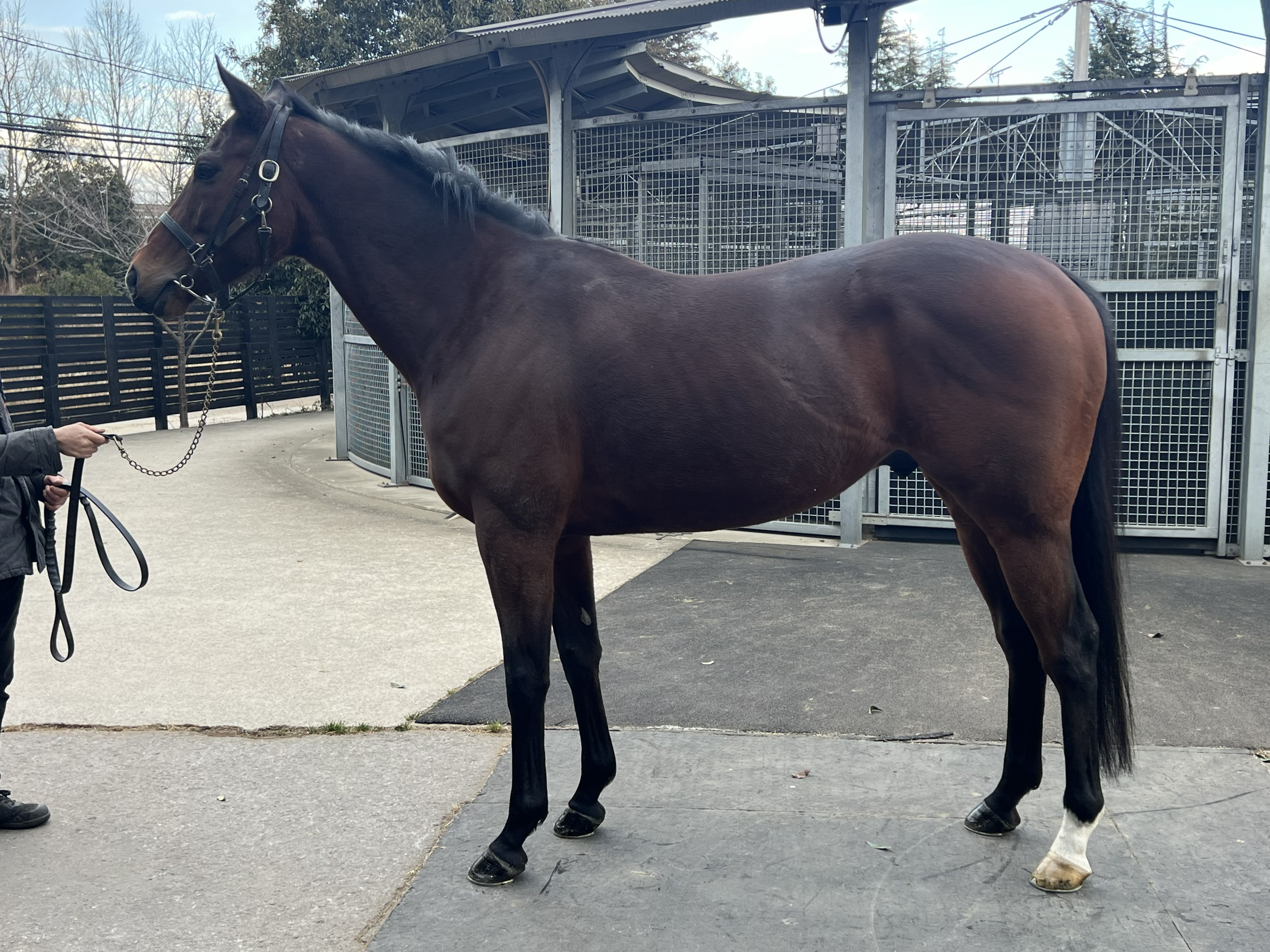 画像サムネイル