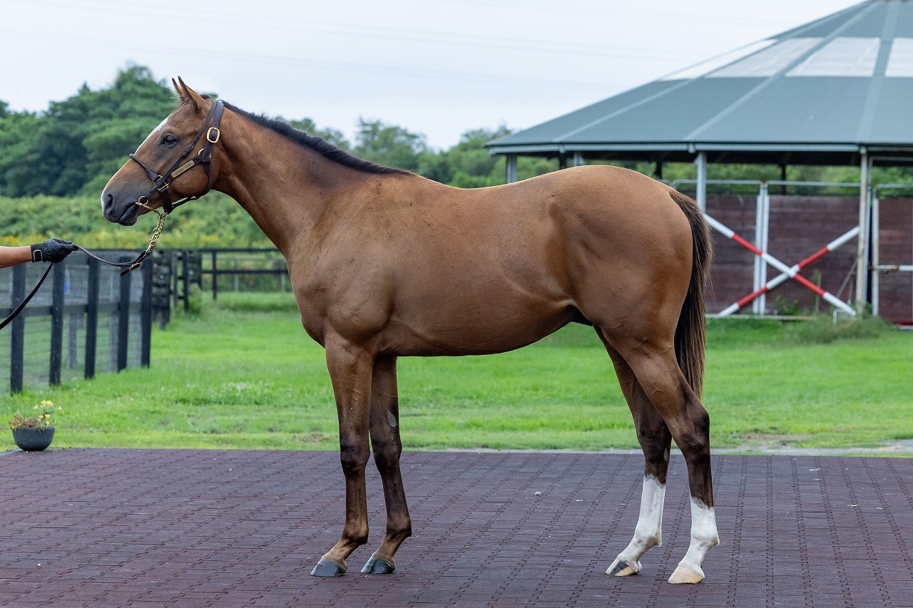 画像サムネイル