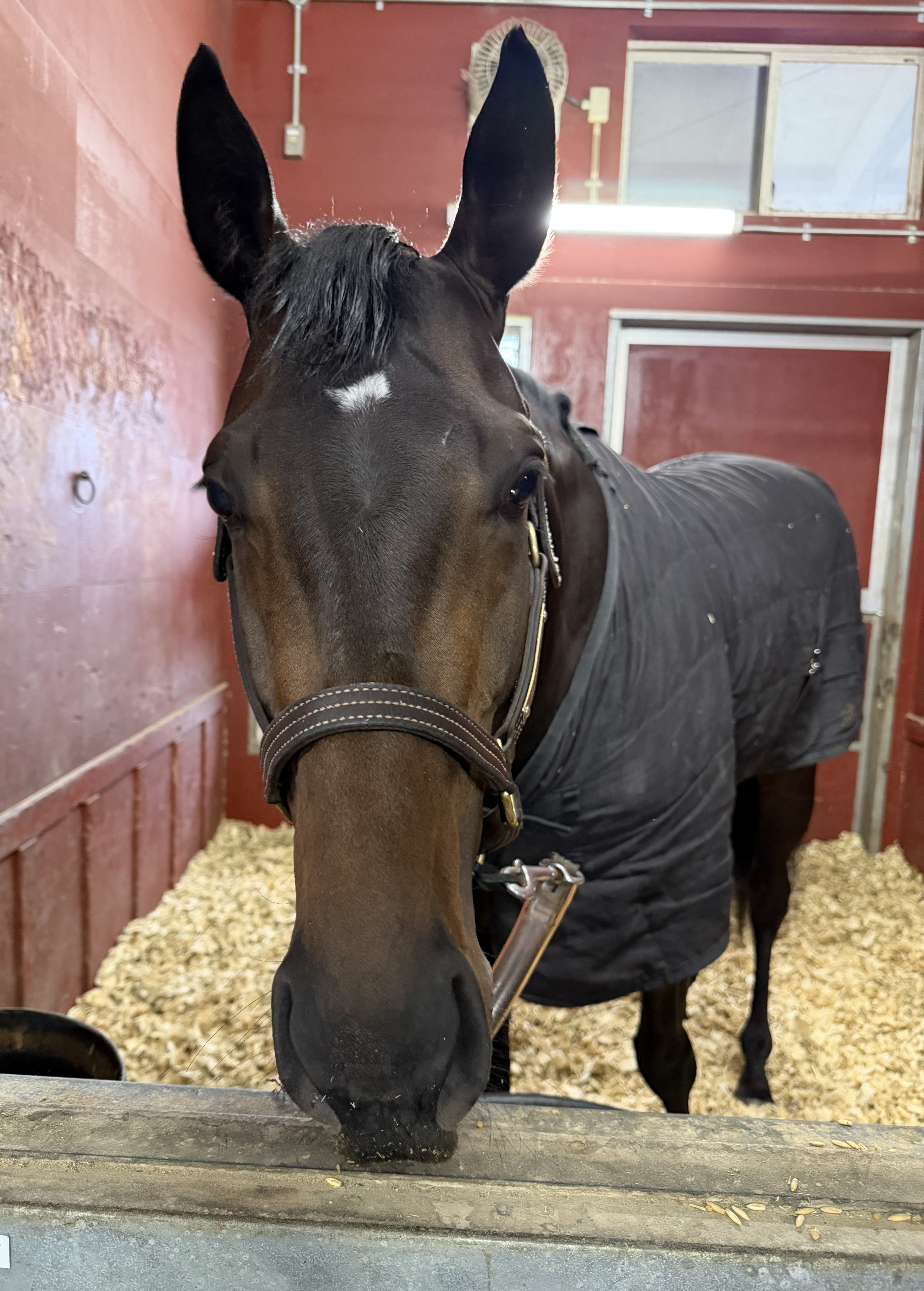 画像サムネイル