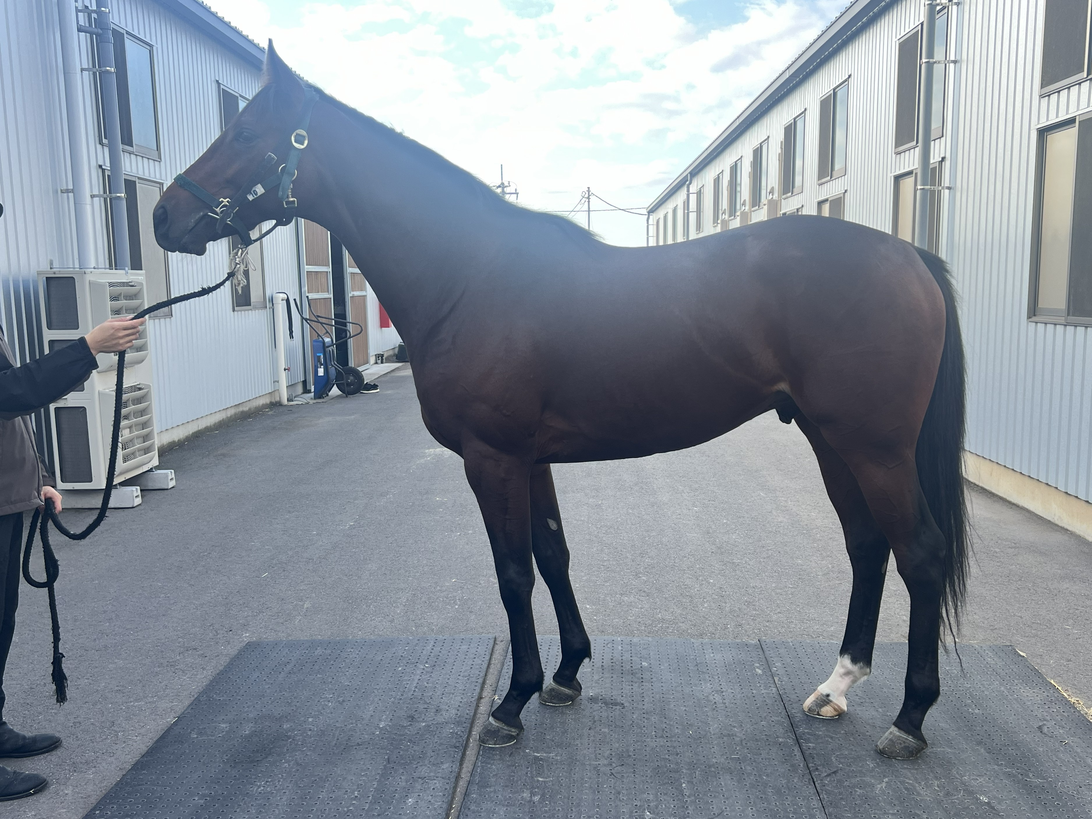 画像サムネイル