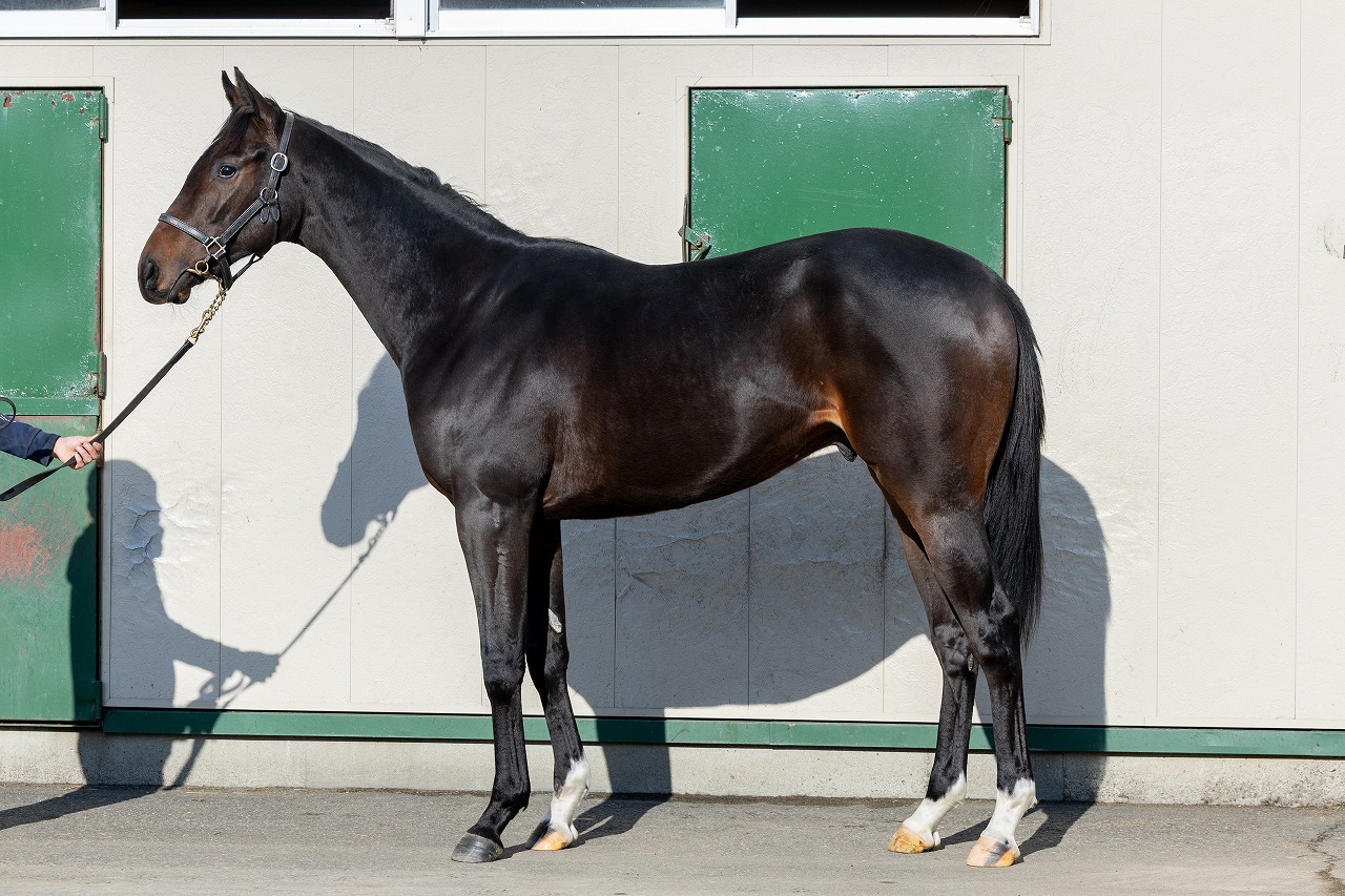 画像サムネイル