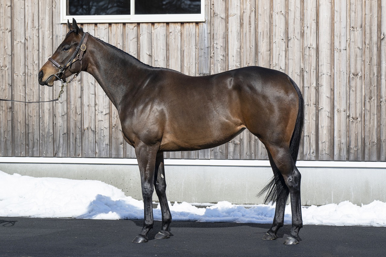 画像サムネイル