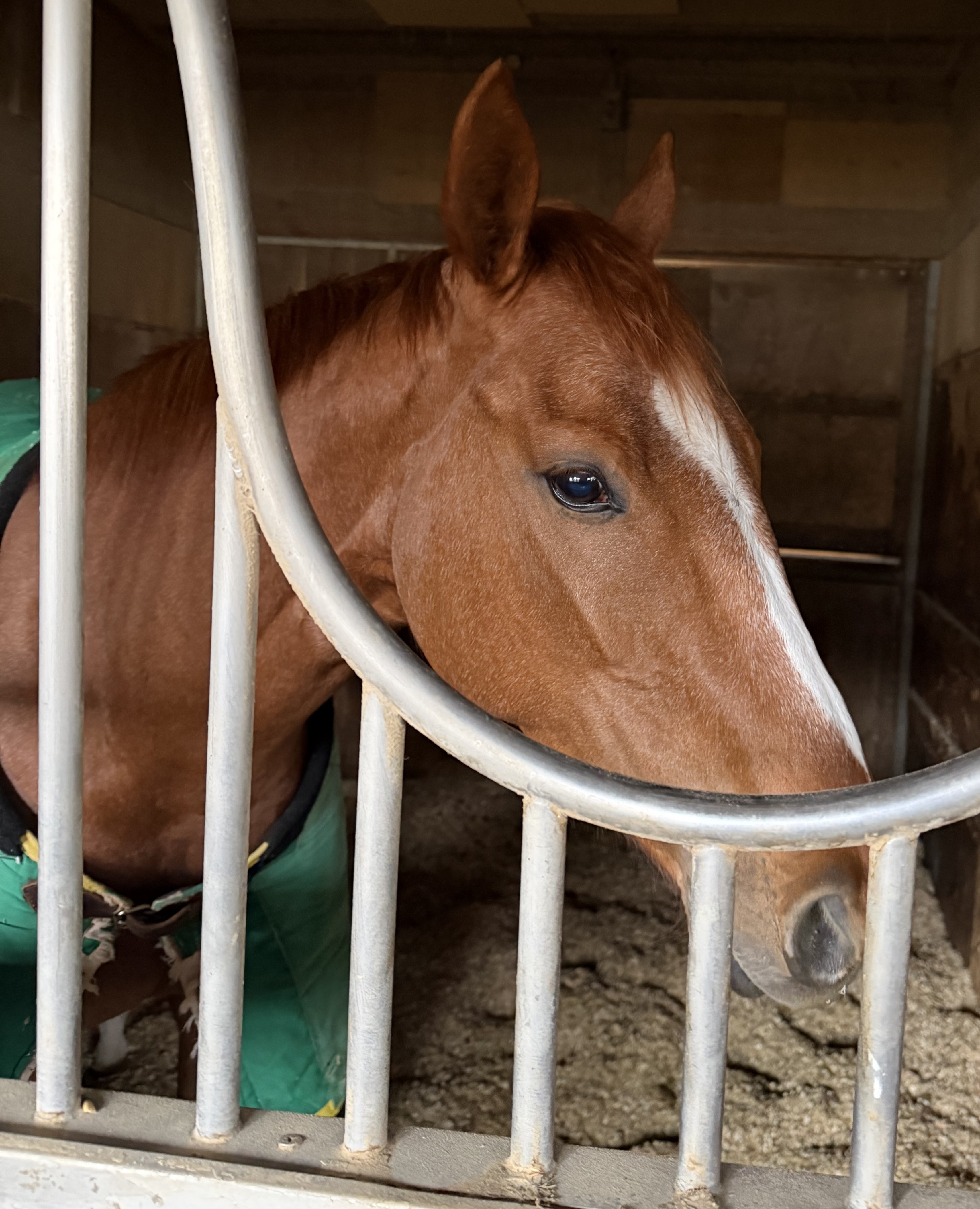 画像サムネイル