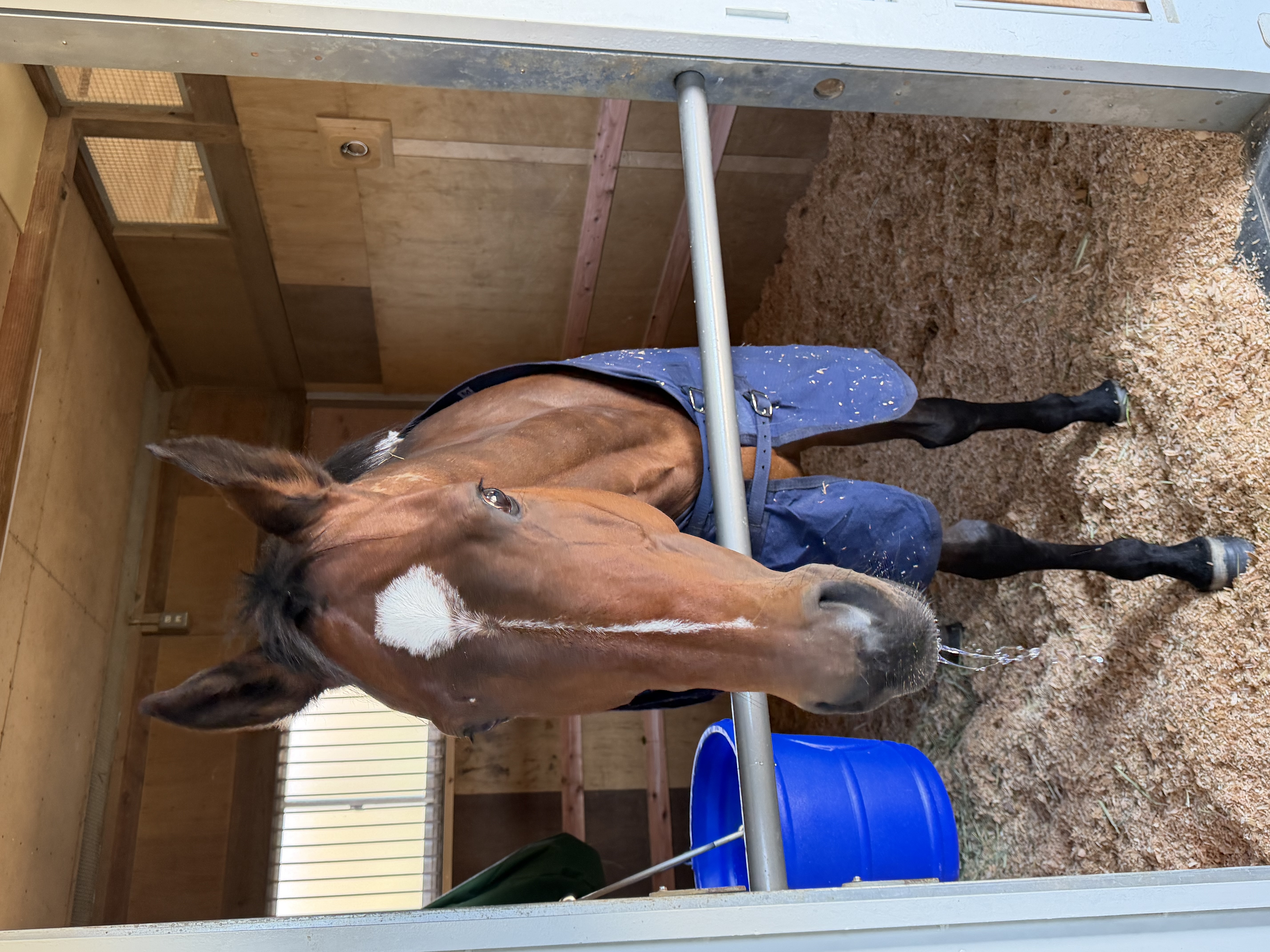 画像サムネイル