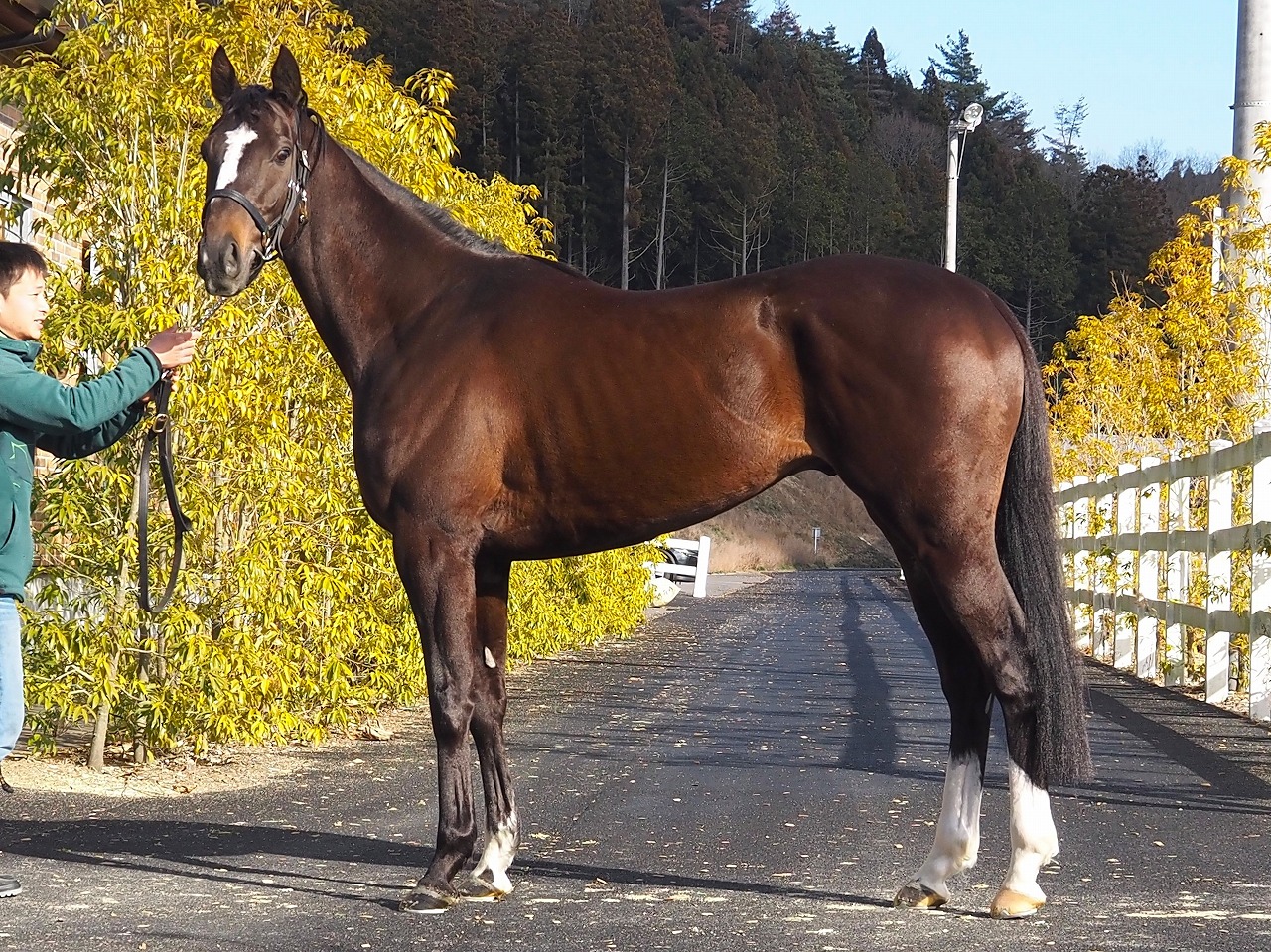 画像サムネイル