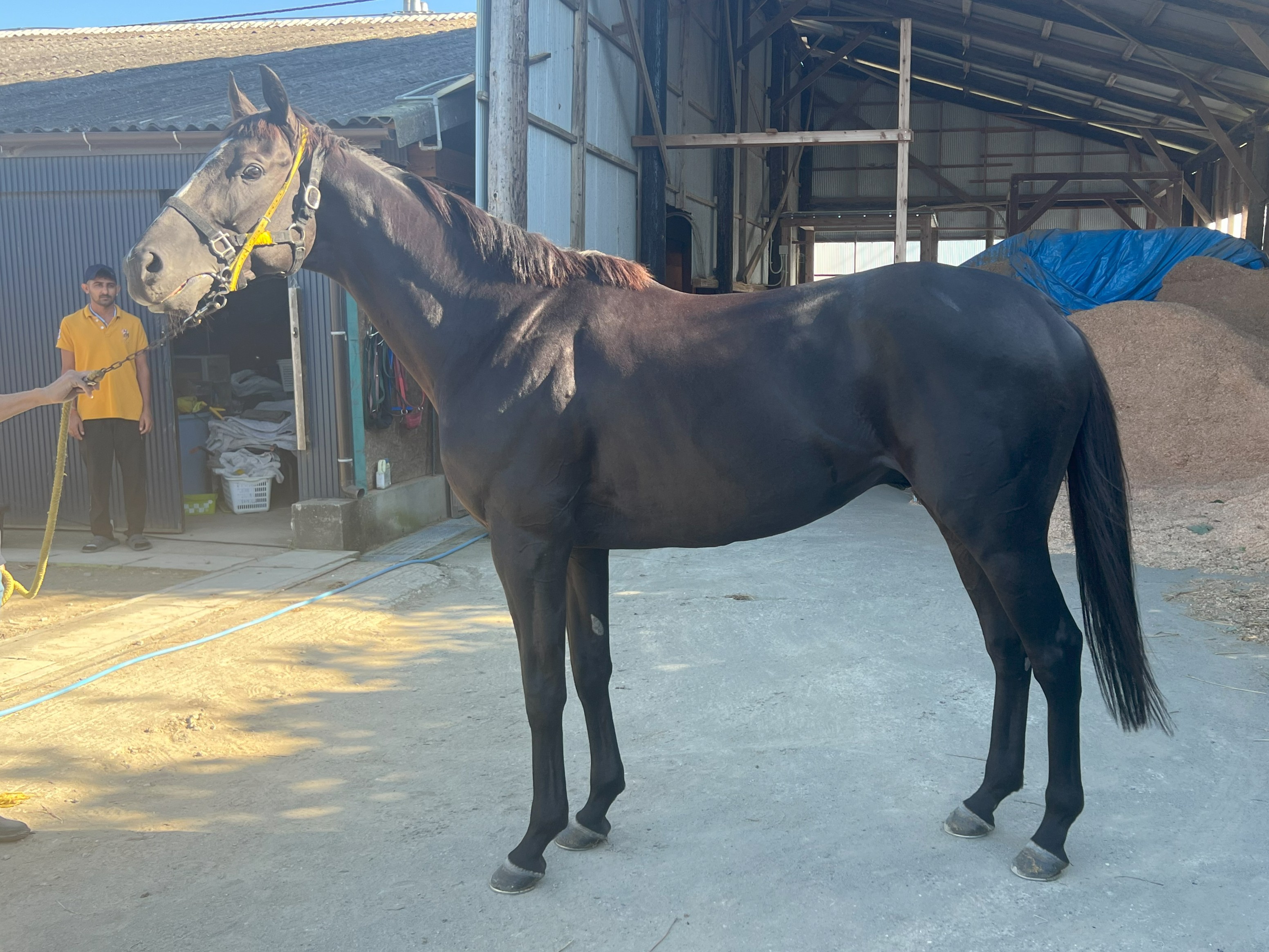 画像サムネイル