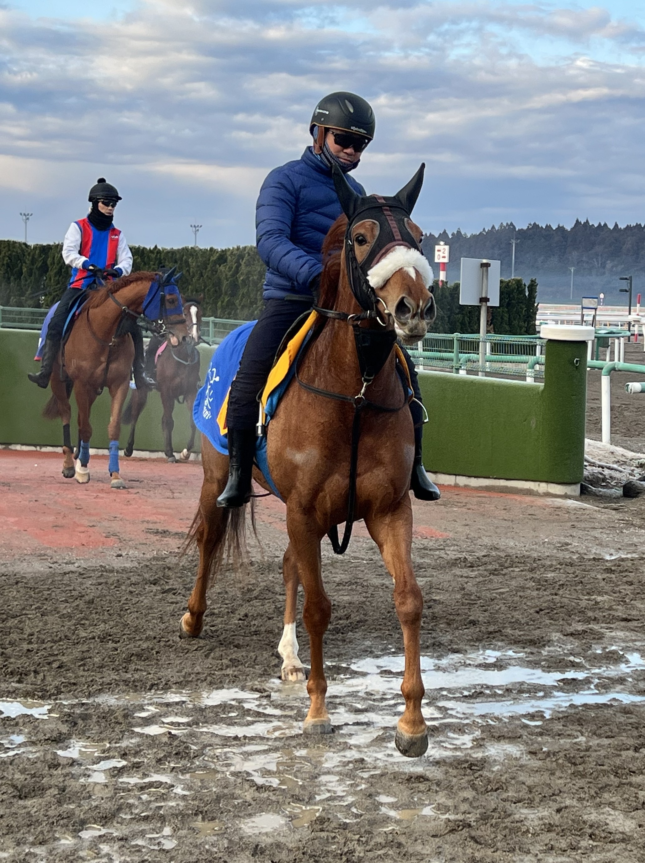 画像サムネイル