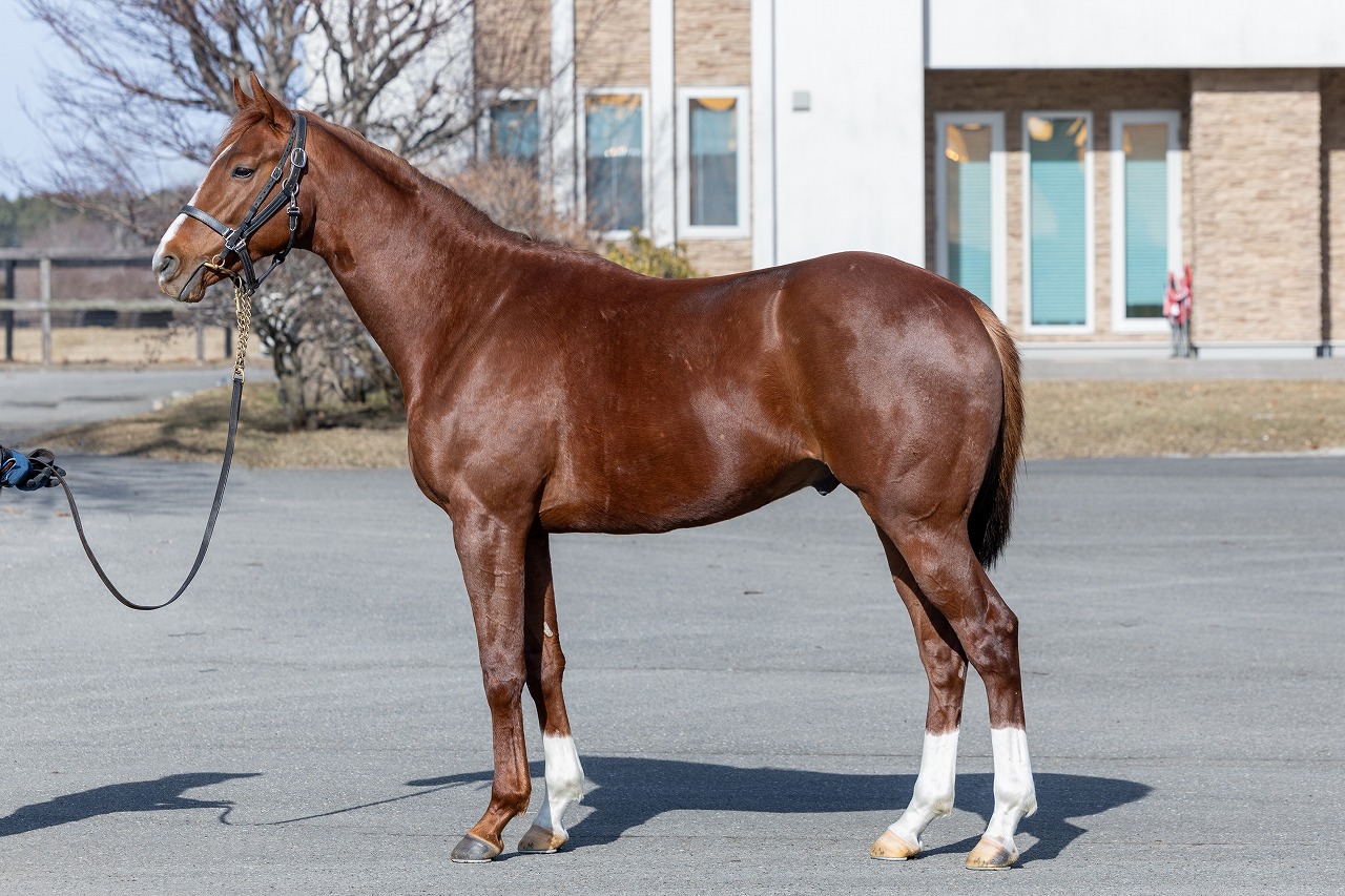 画像サムネイル