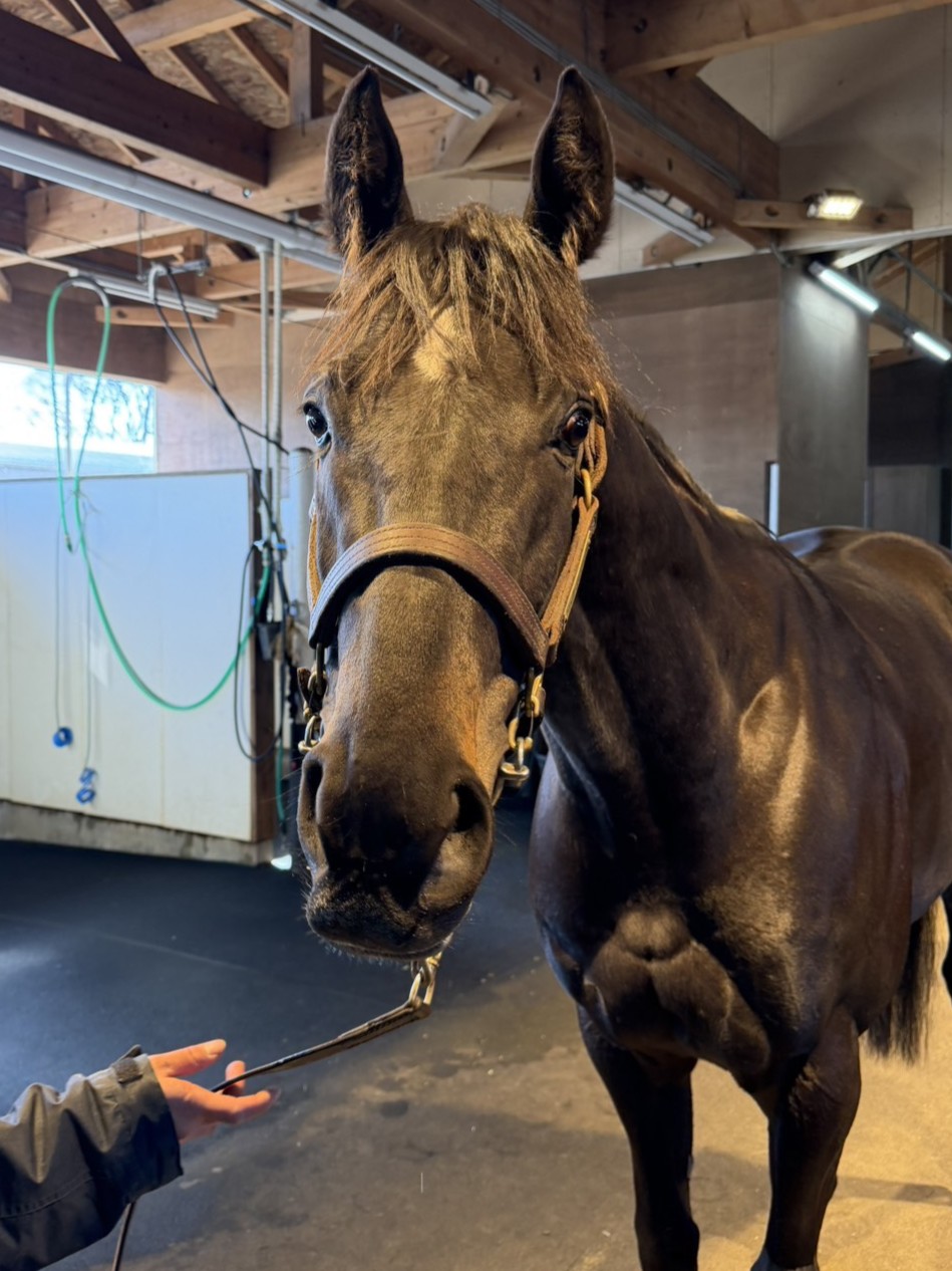 画像サムネイル