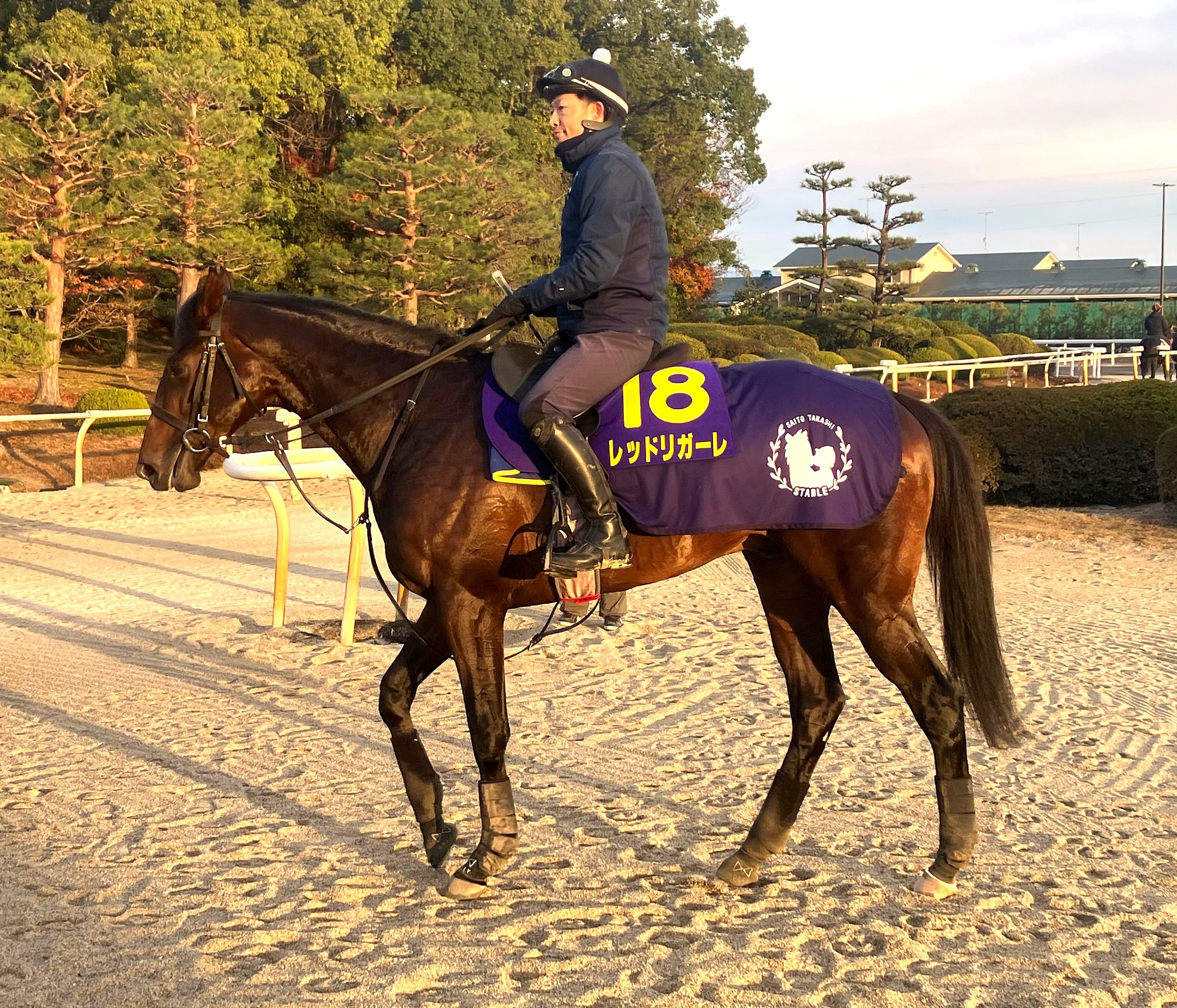 画像サムネイル