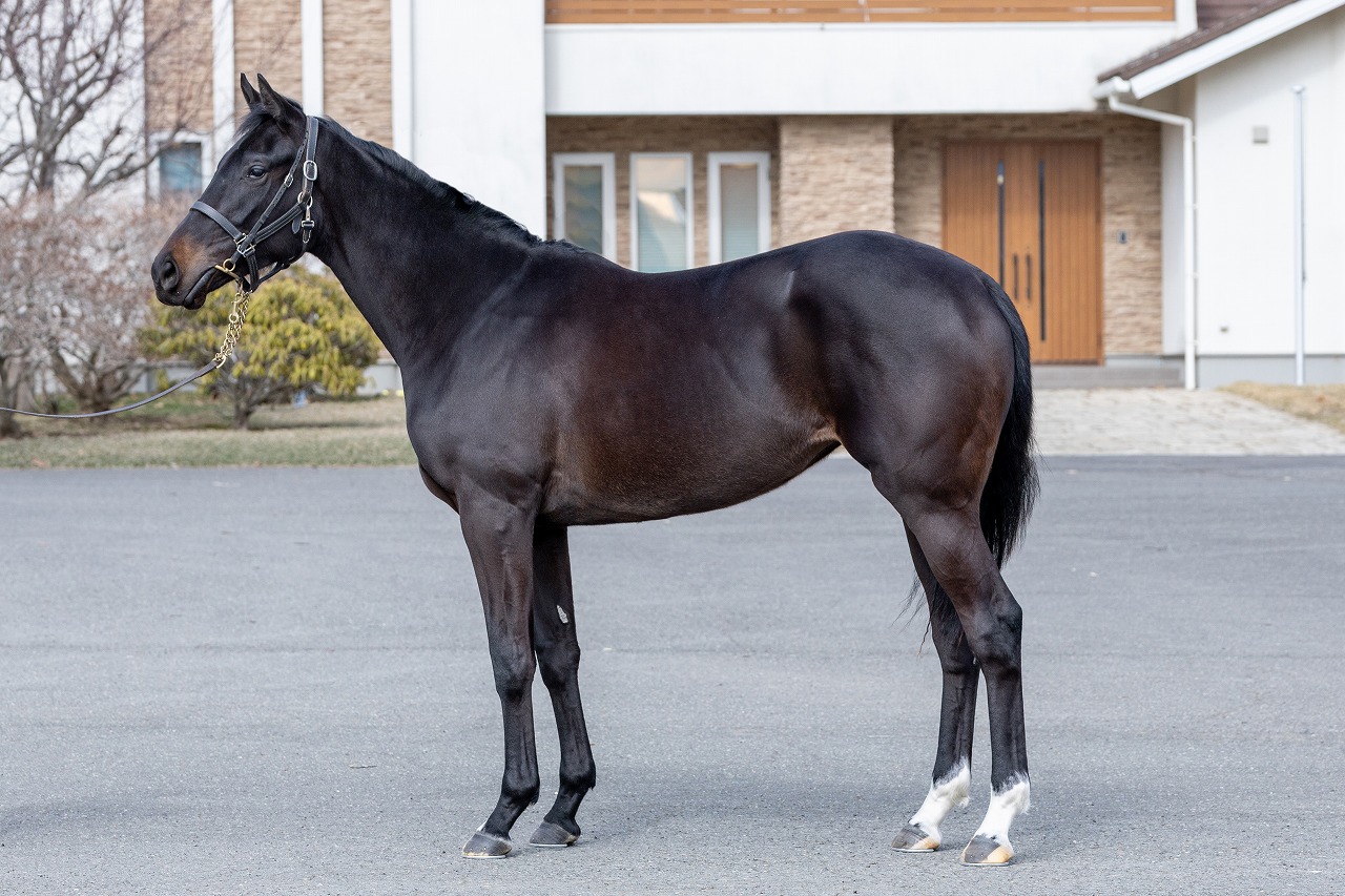 画像サムネイル