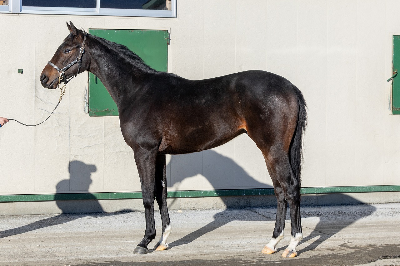 画像サムネイル