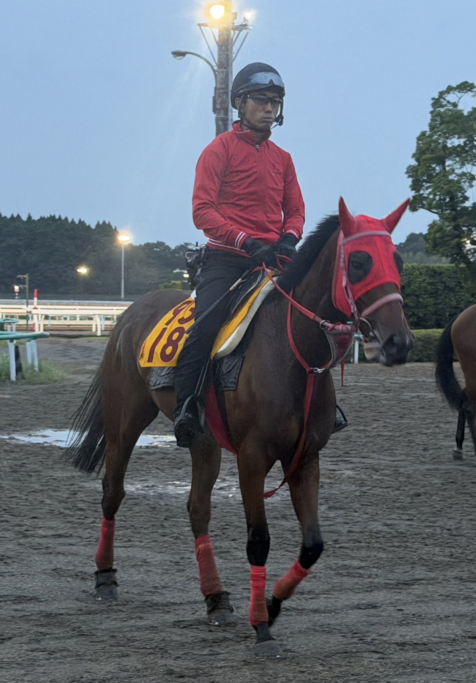 画像サムネイル