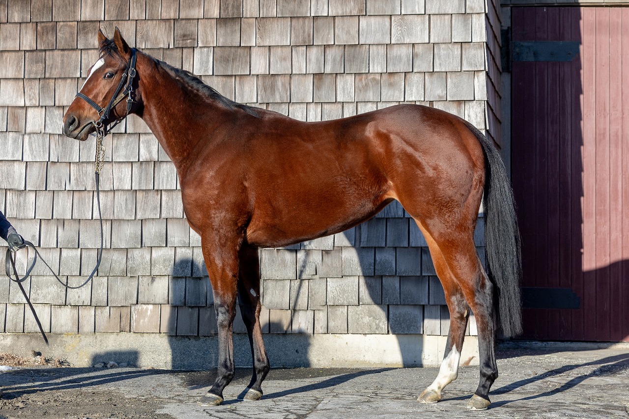 画像サムネイル