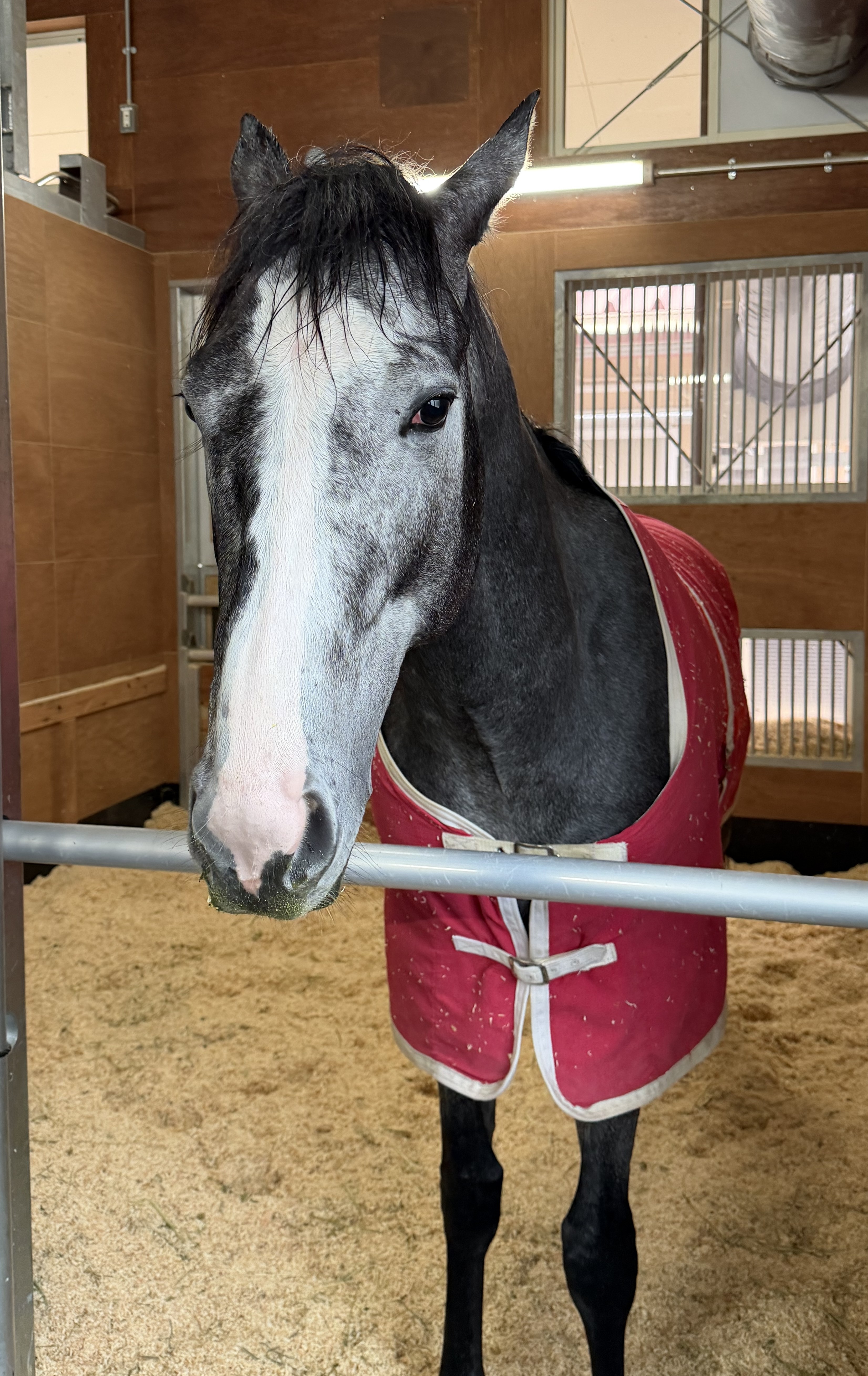 画像サムネイル