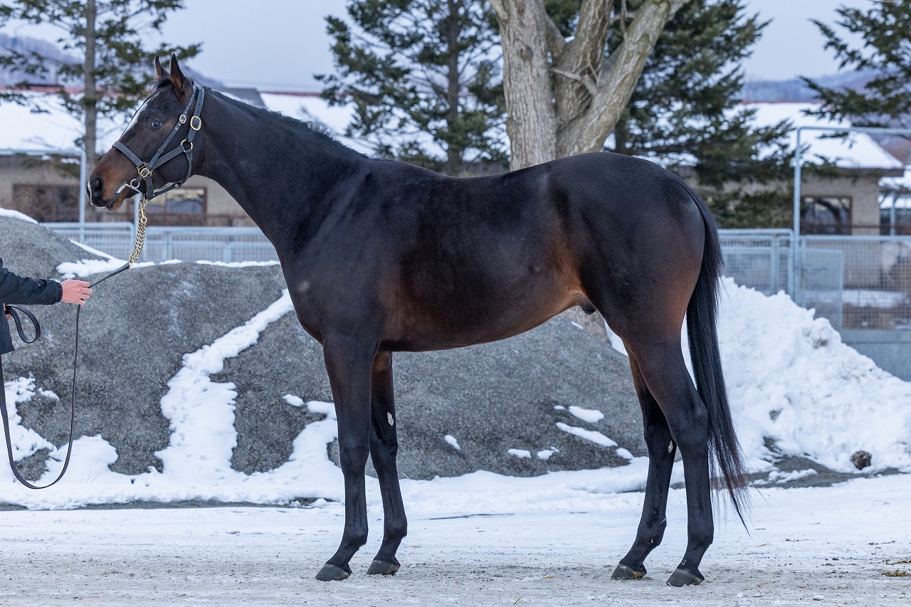 画像サムネイル