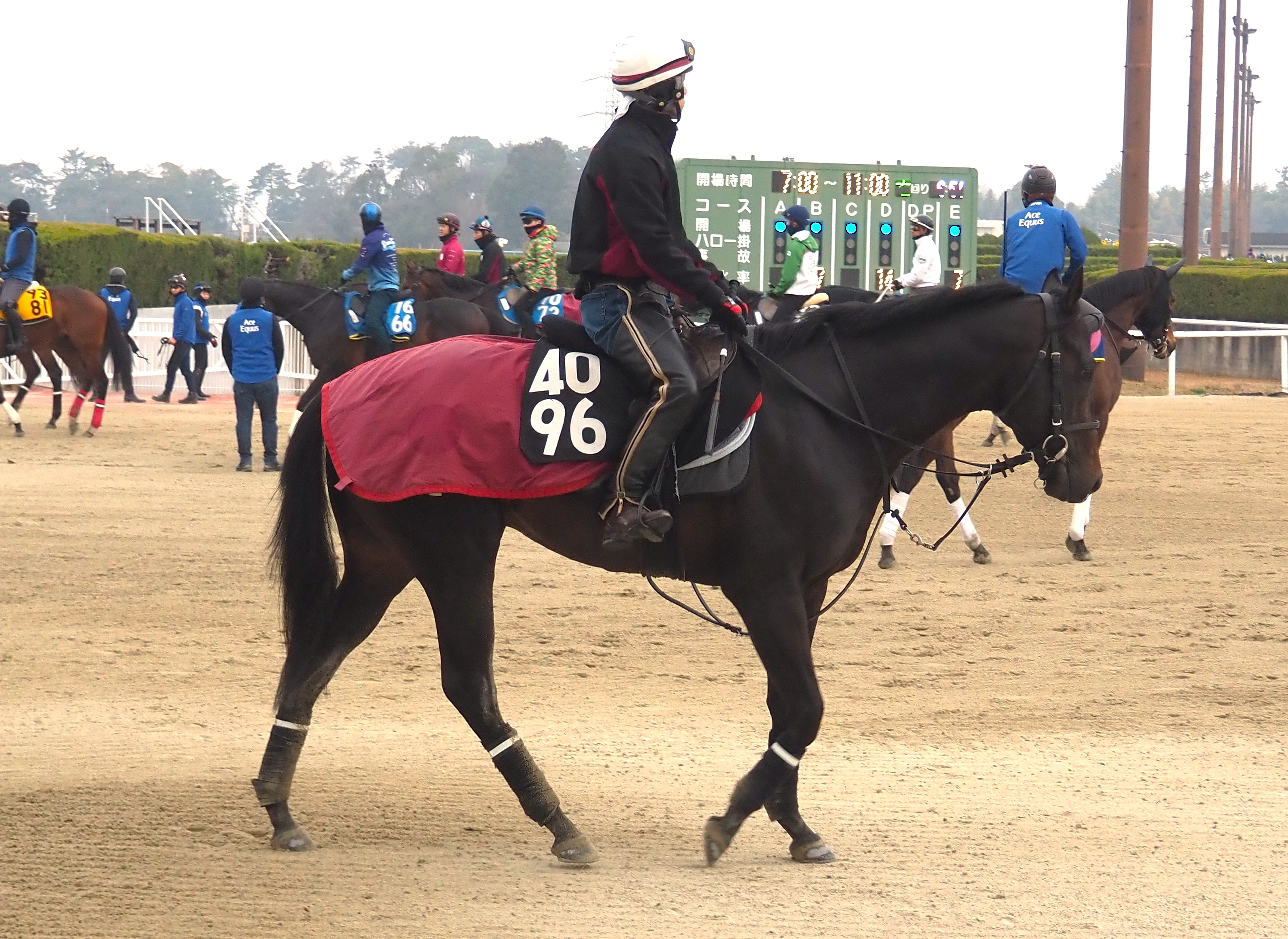 画像サムネイル