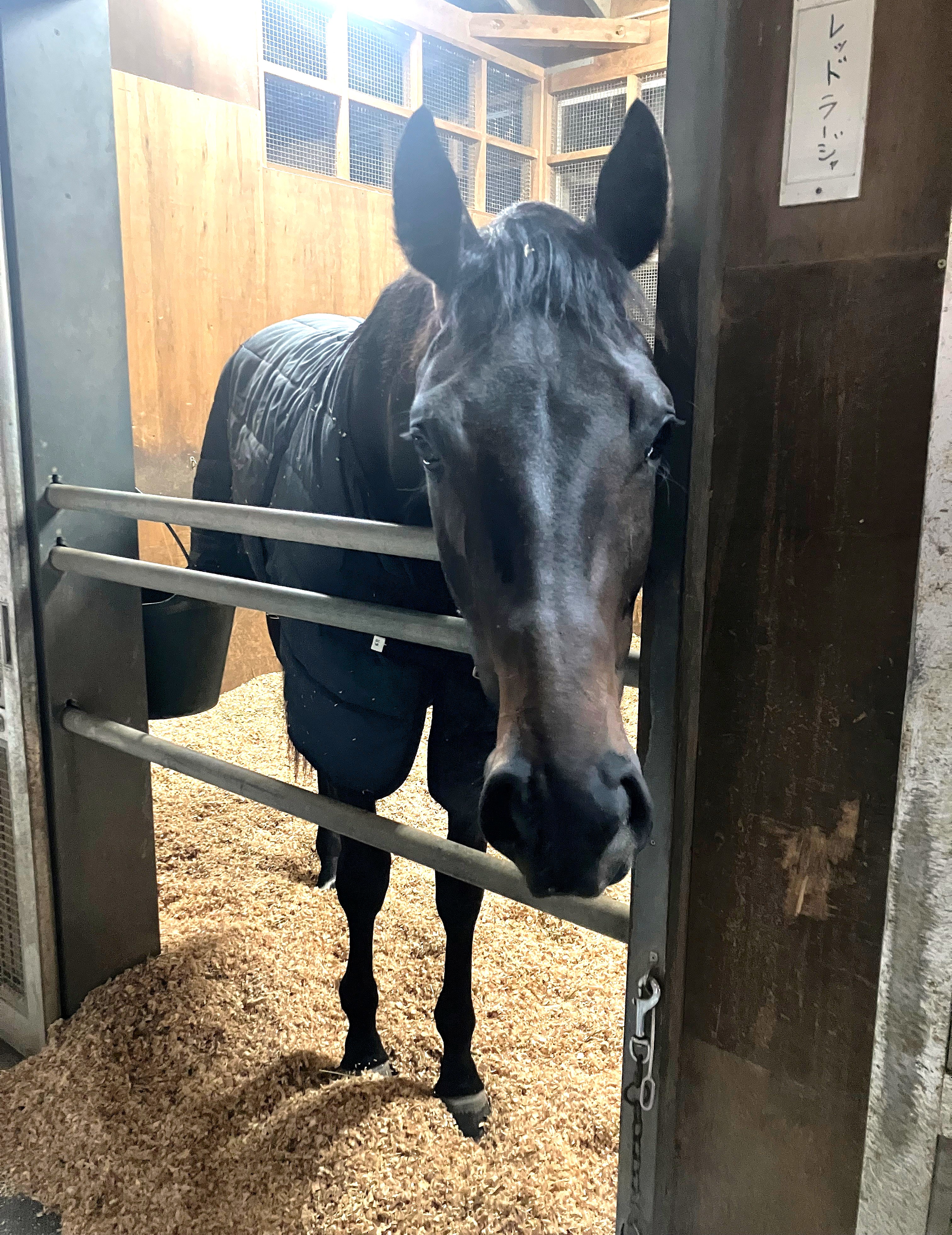 画像サムネイル