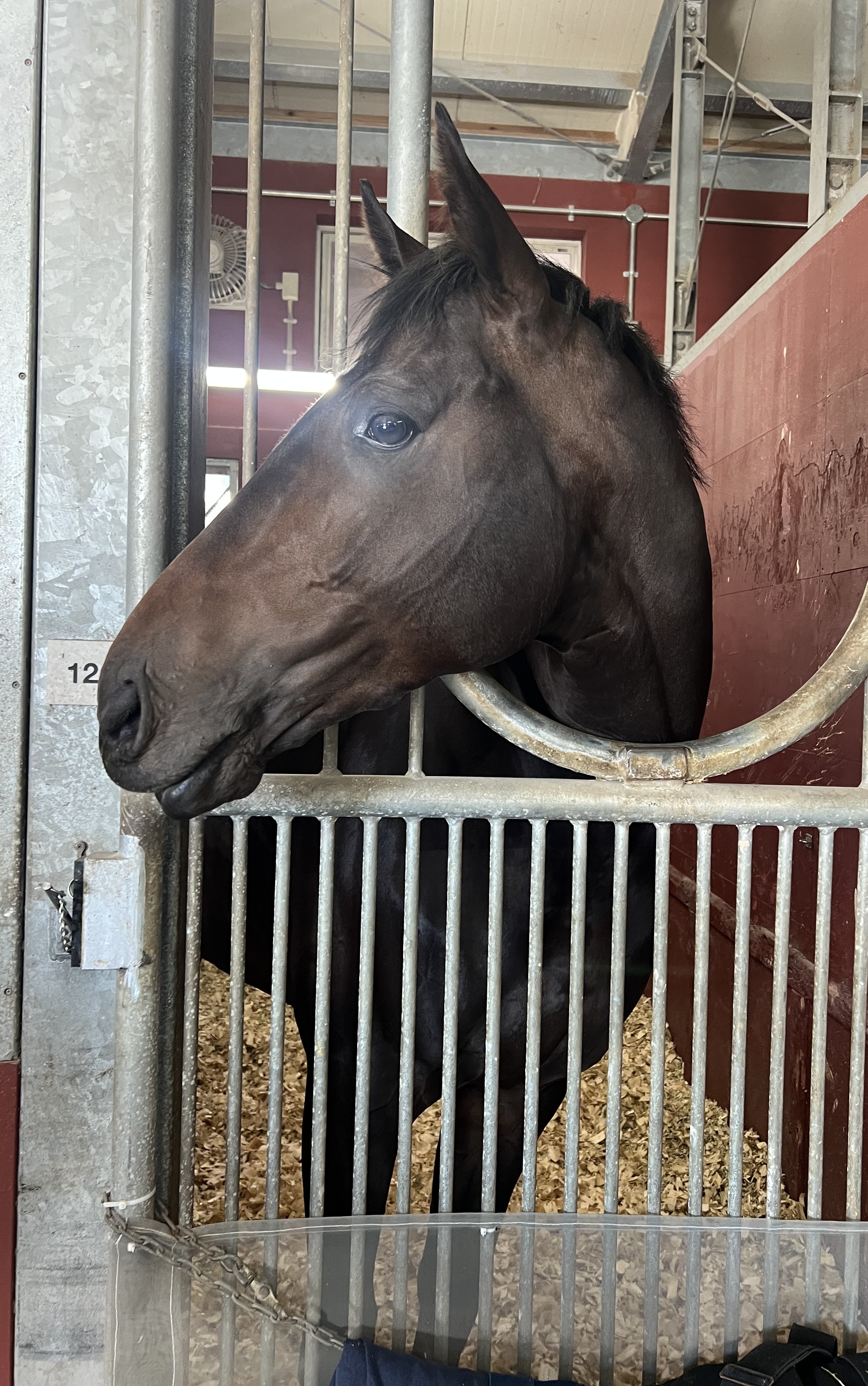 画像サムネイル