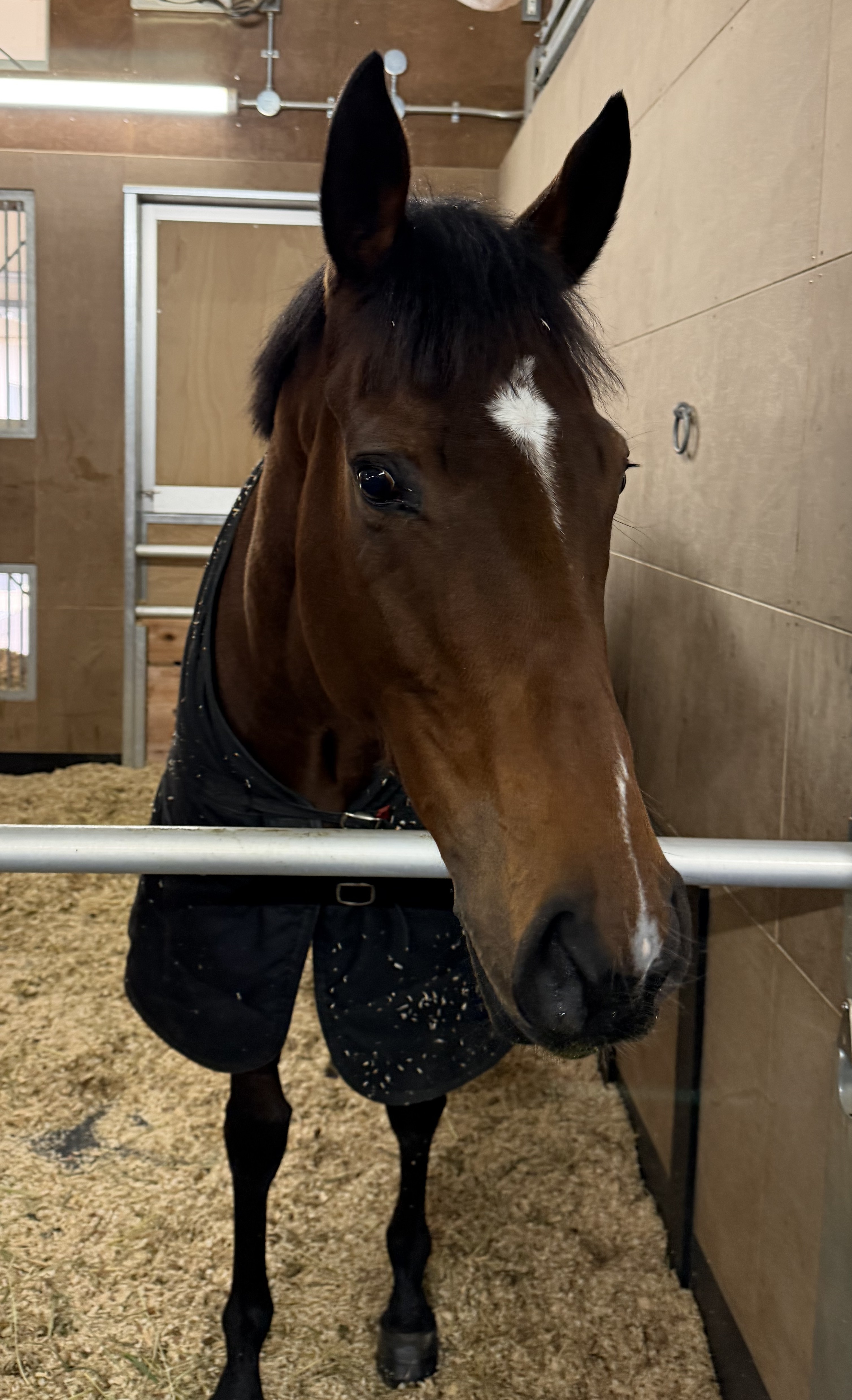 画像サムネイル