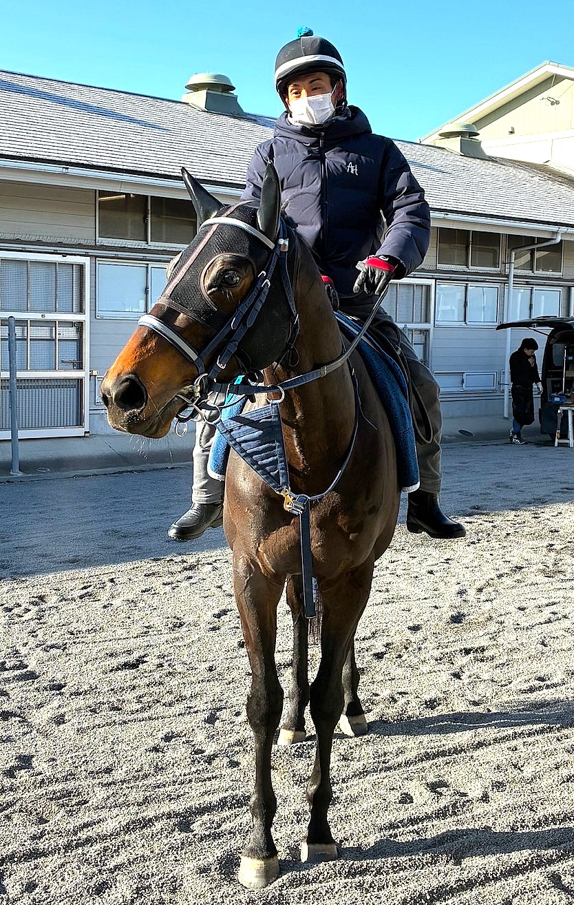 画像サムネイル