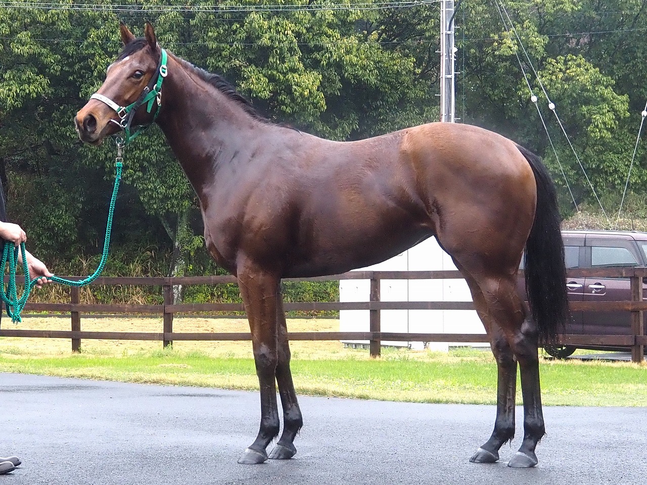 画像サムネイル