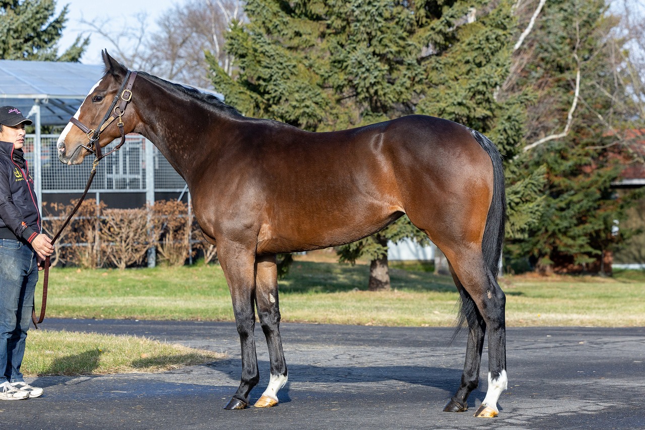 画像サムネイル