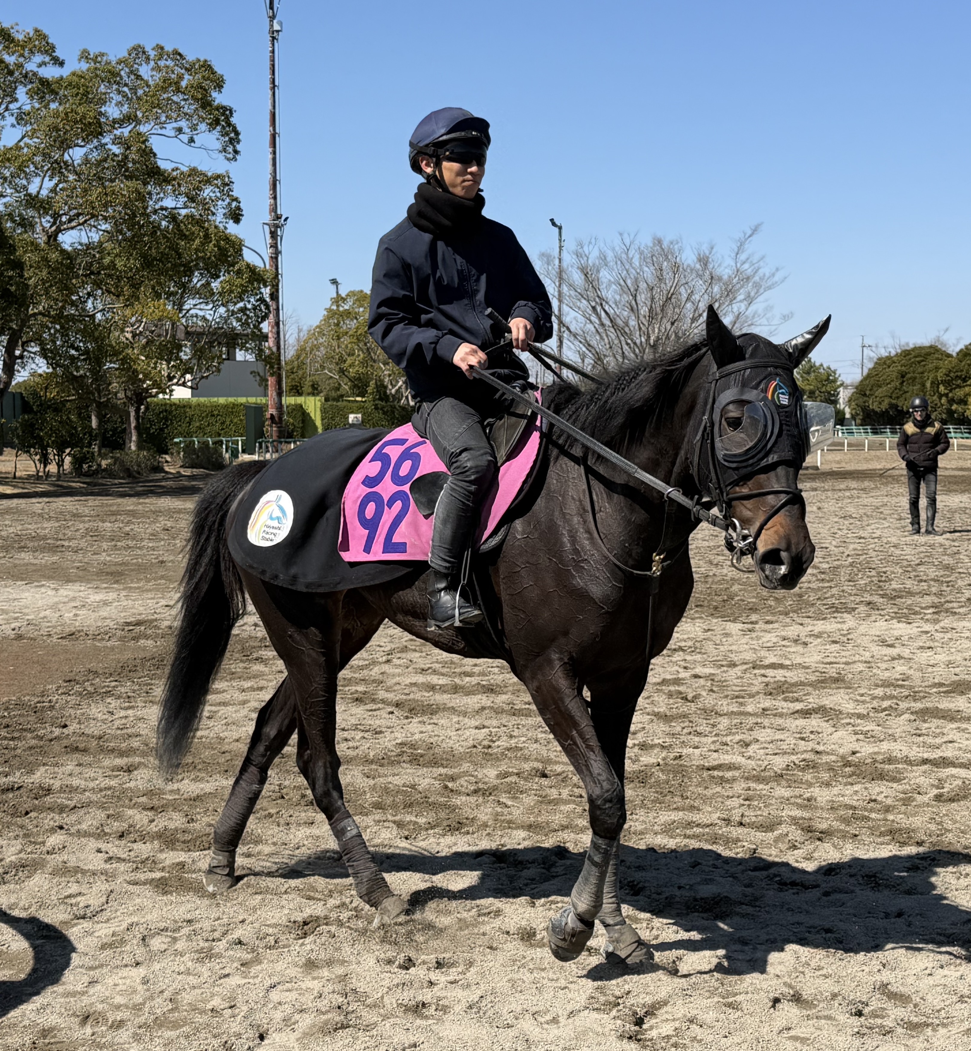 画像サムネイル