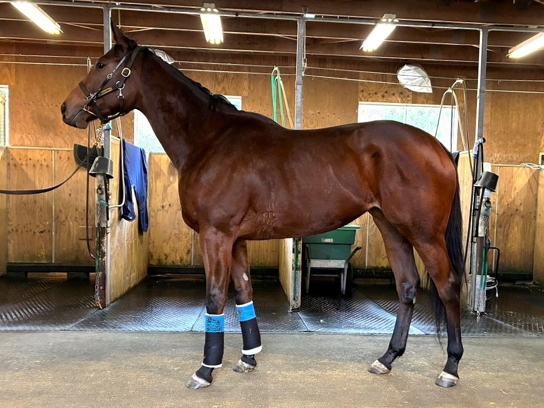 画像サムネイル