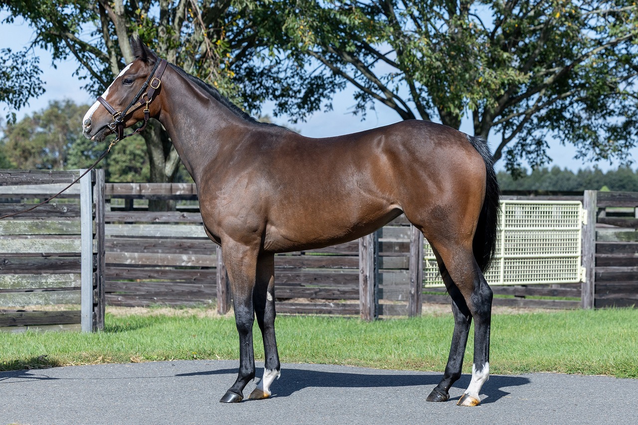 画像サムネイル