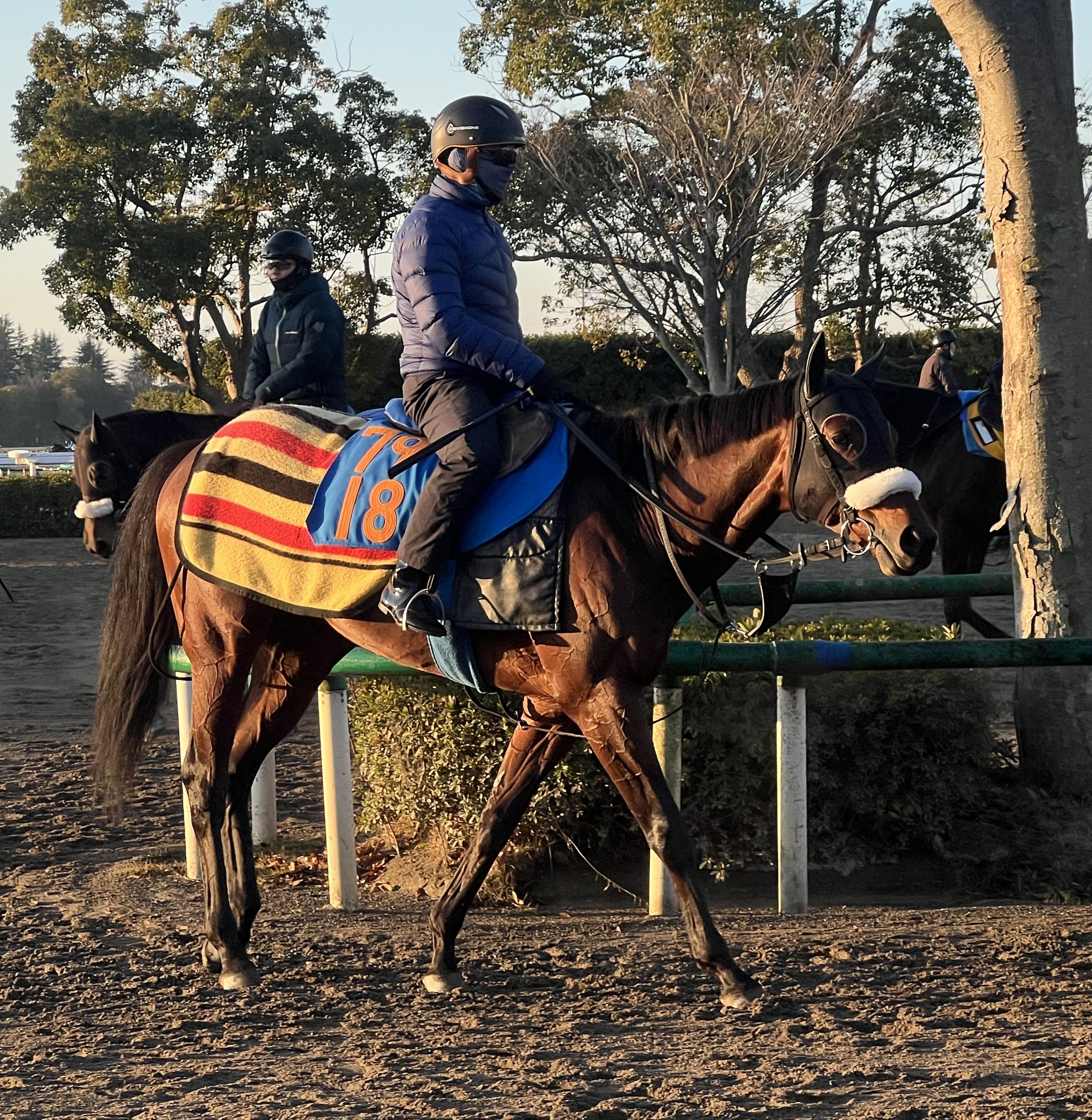 画像サムネイル