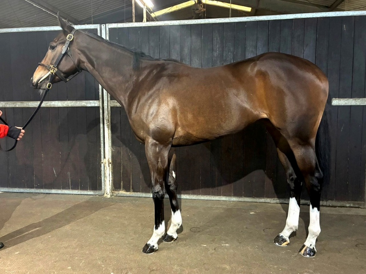 画像サムネイル