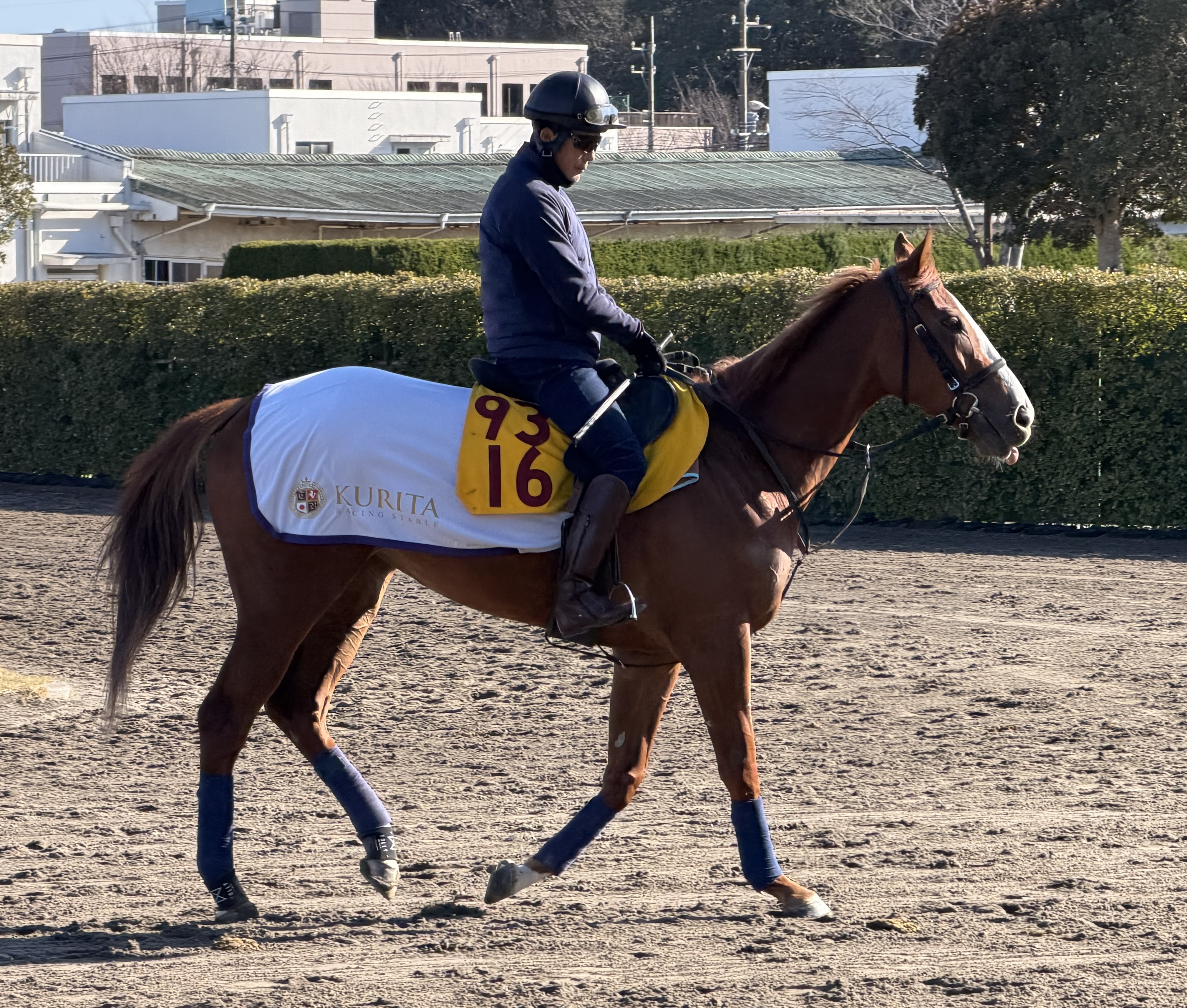 画像サムネイル