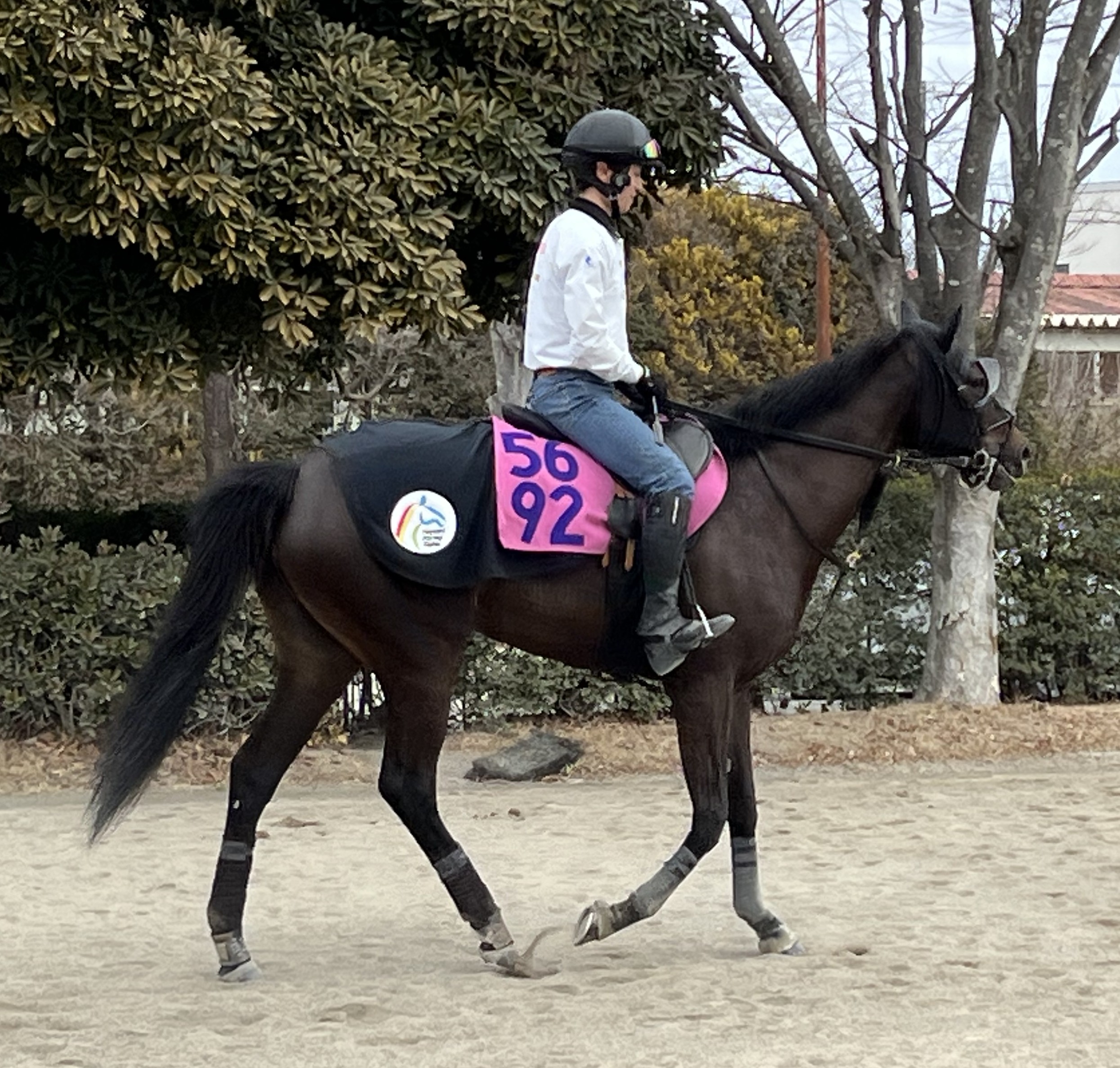 画像サムネイル